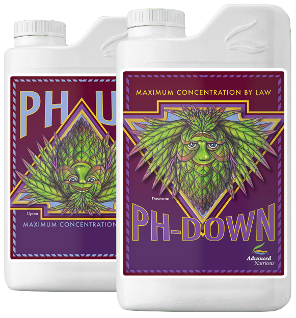 pH-Up 1L