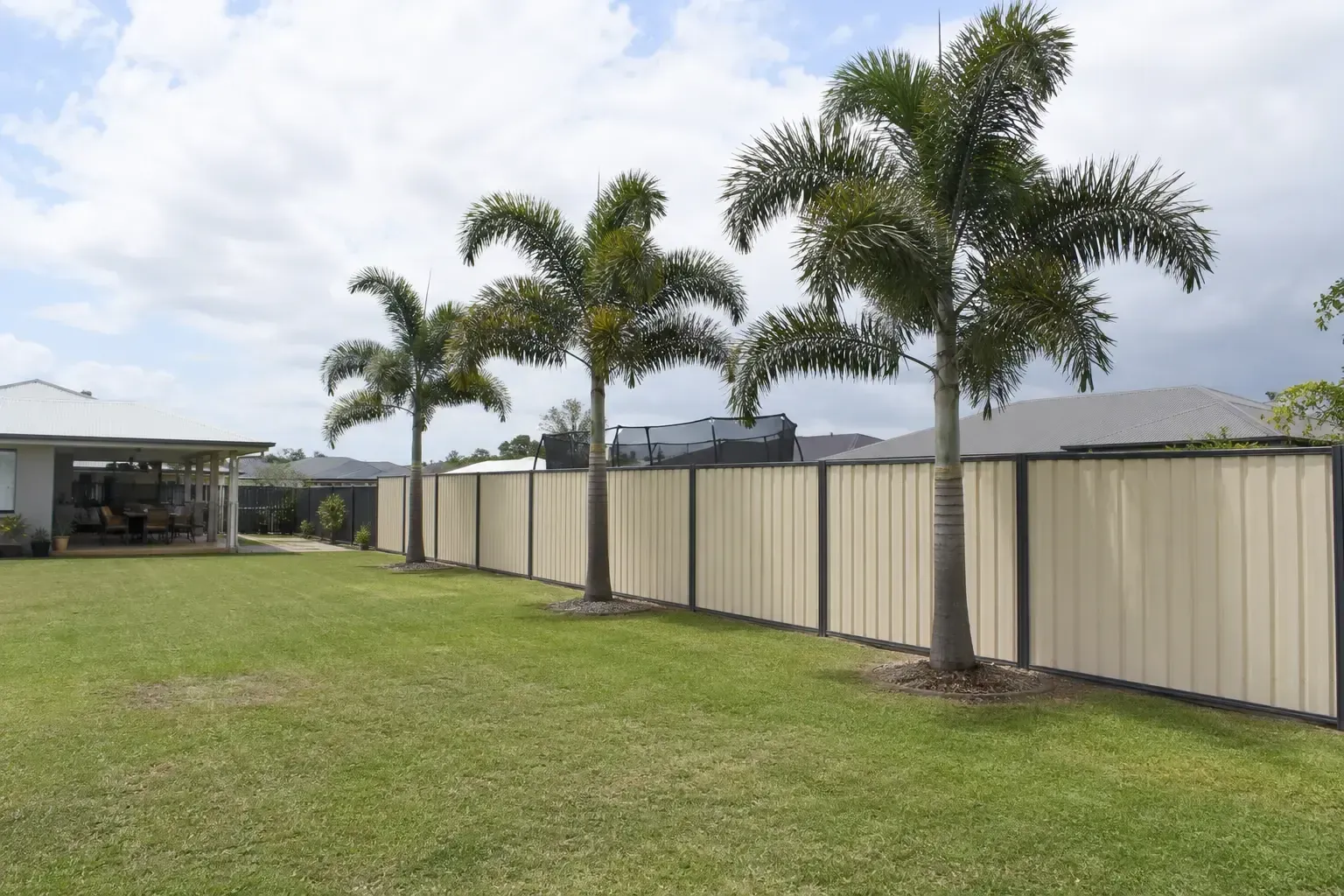 3 stunning palm trees in this Rural View yard looking fresh fresh again after routine palm maintenance.