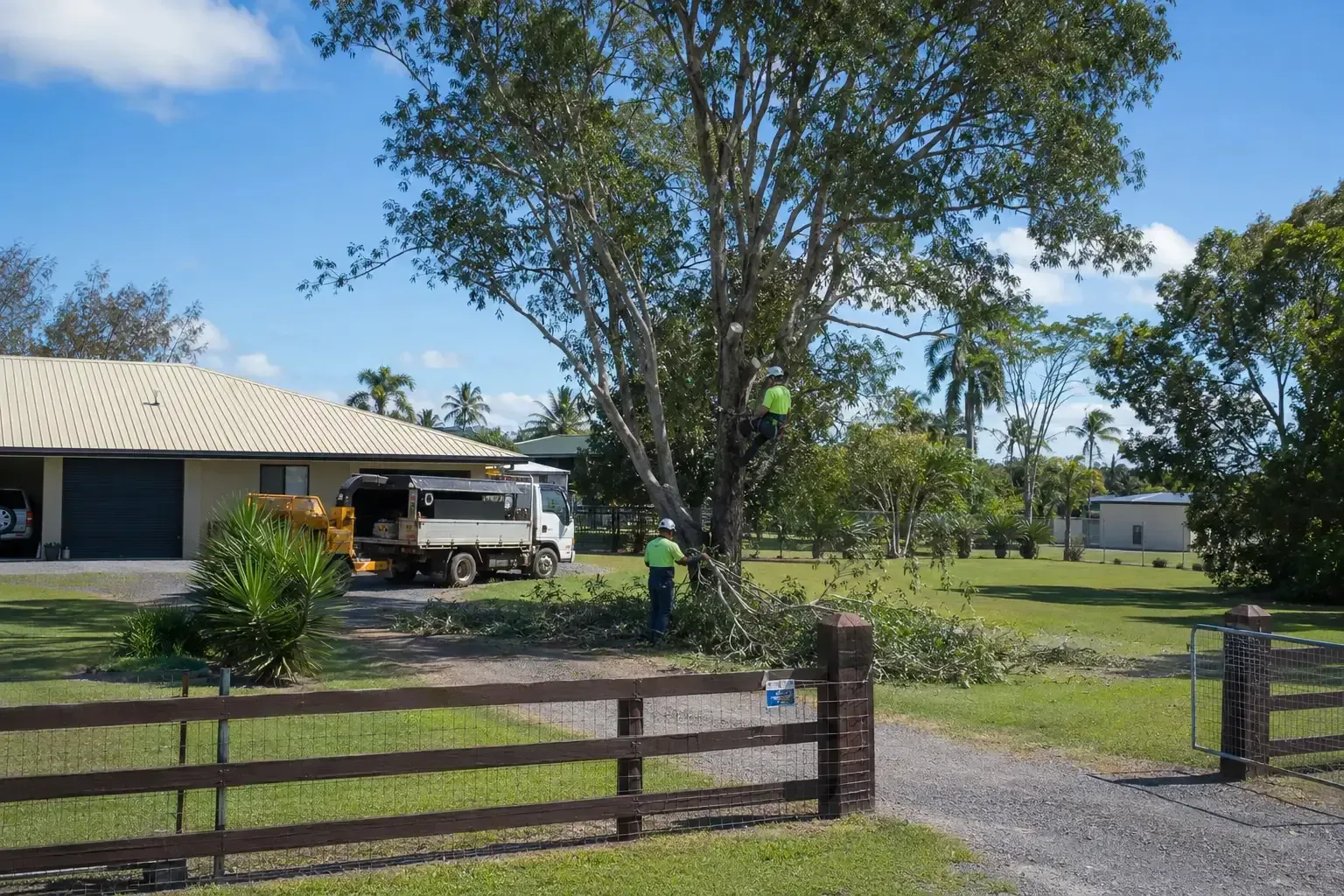 Pruning a large eucalyptus tree that was dropping branches on to a driveway at this rural property near Eton, Mackay.