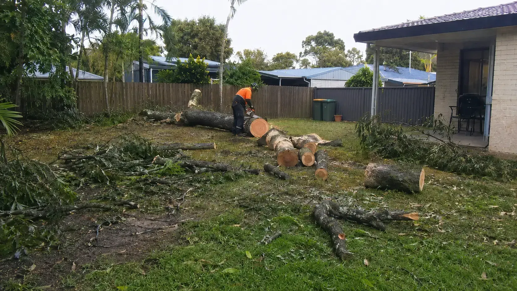 Breaking up this large fallen tree into manageable pieces for removal after a recent storm in Mackay.