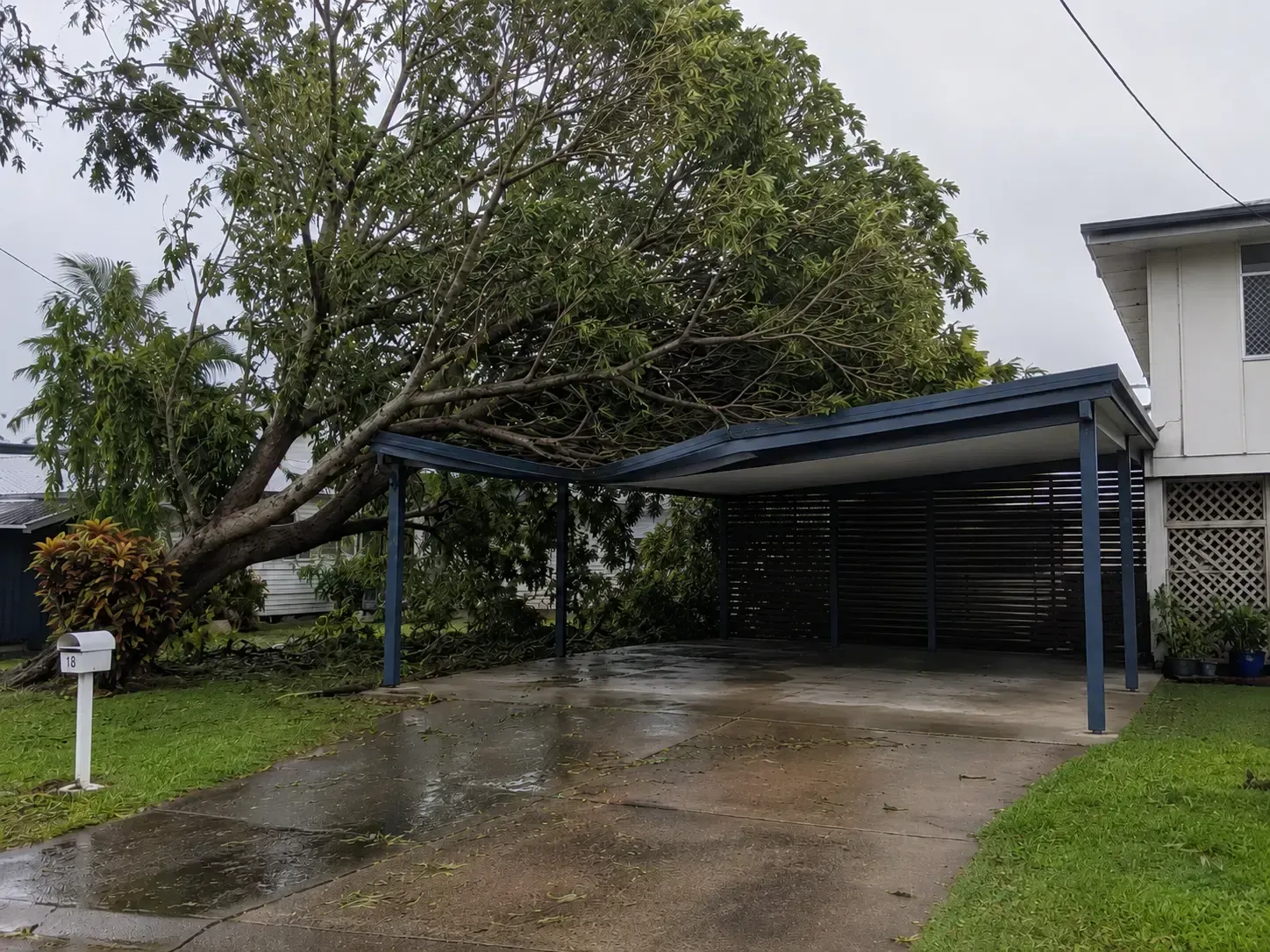 Tree requiring safe dismantling and removal after falling on a carport during a storm in South Mackay