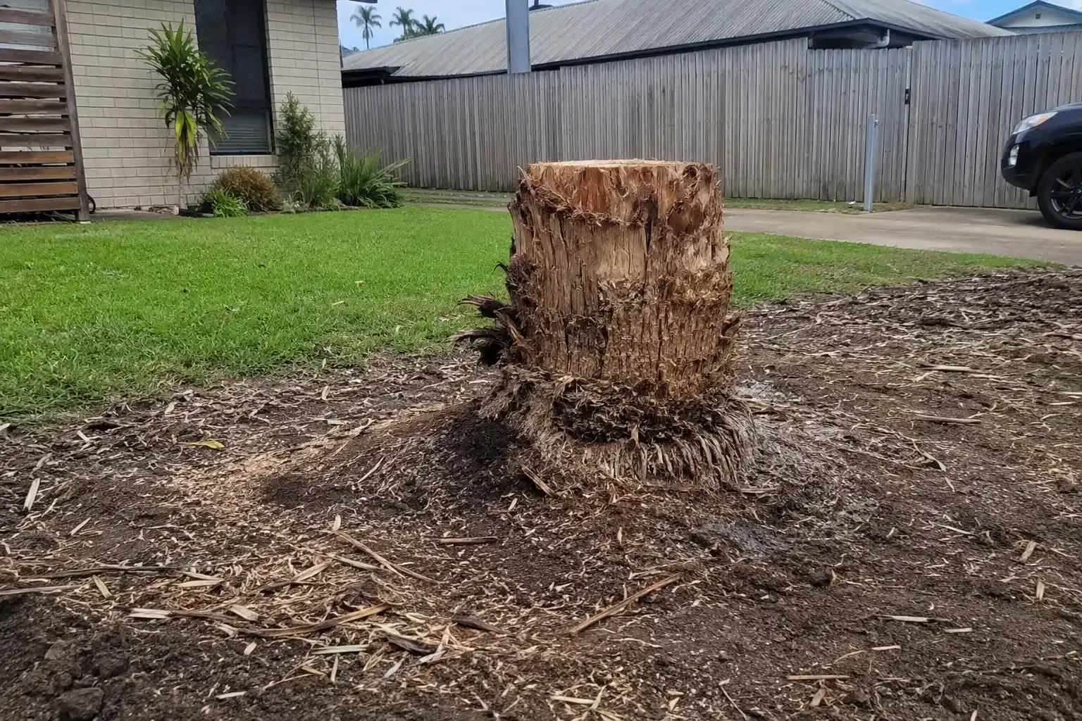Stump left behind after a recent Palm Tree Removal in Mackay. Ready for stump grinding.