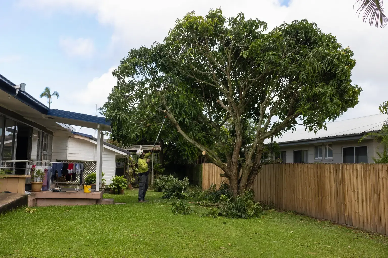 Pruning this large tree that was growing over neighbours house in Mackay