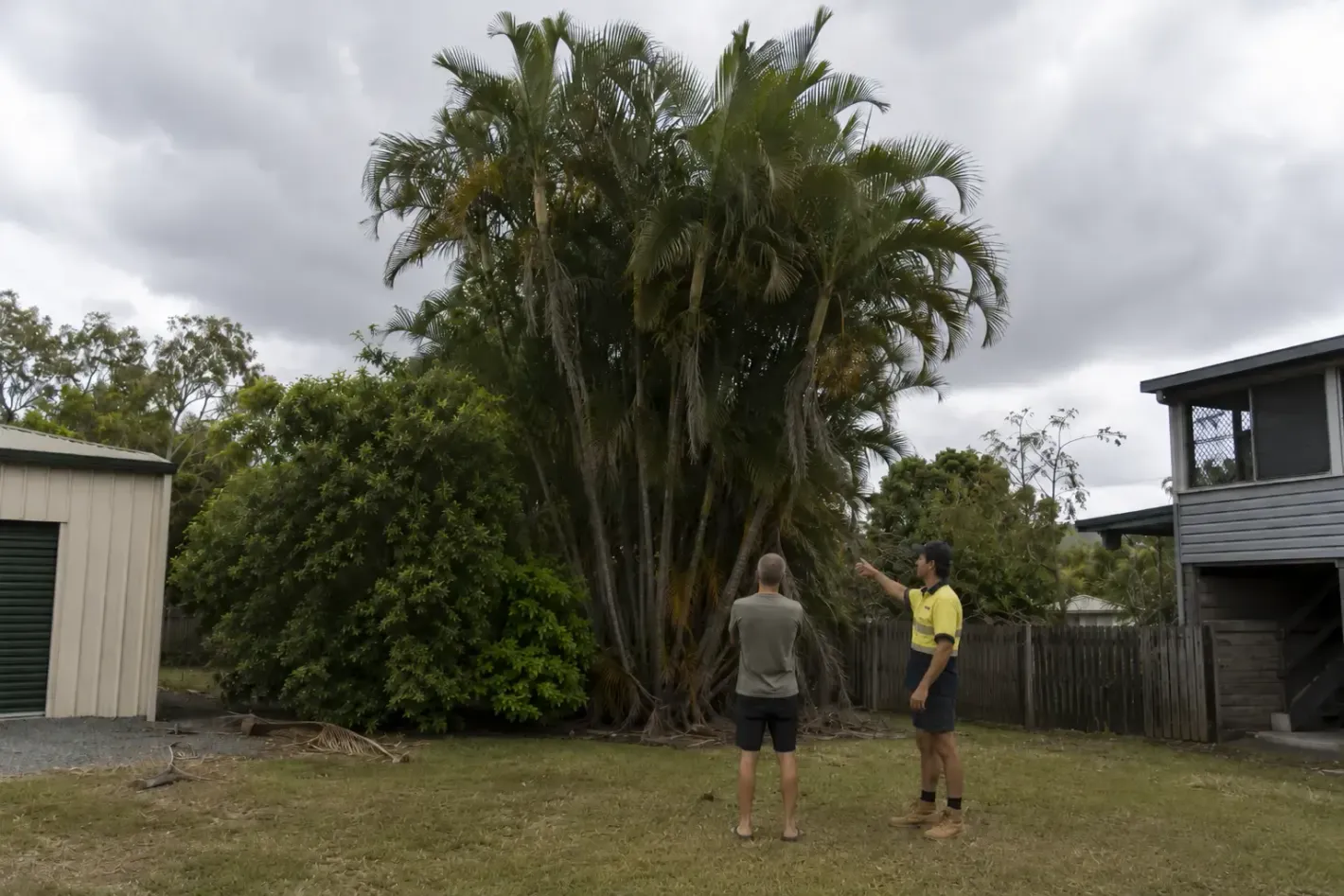 Discussing a quote for palm and maintenance and general yard work in Mackay