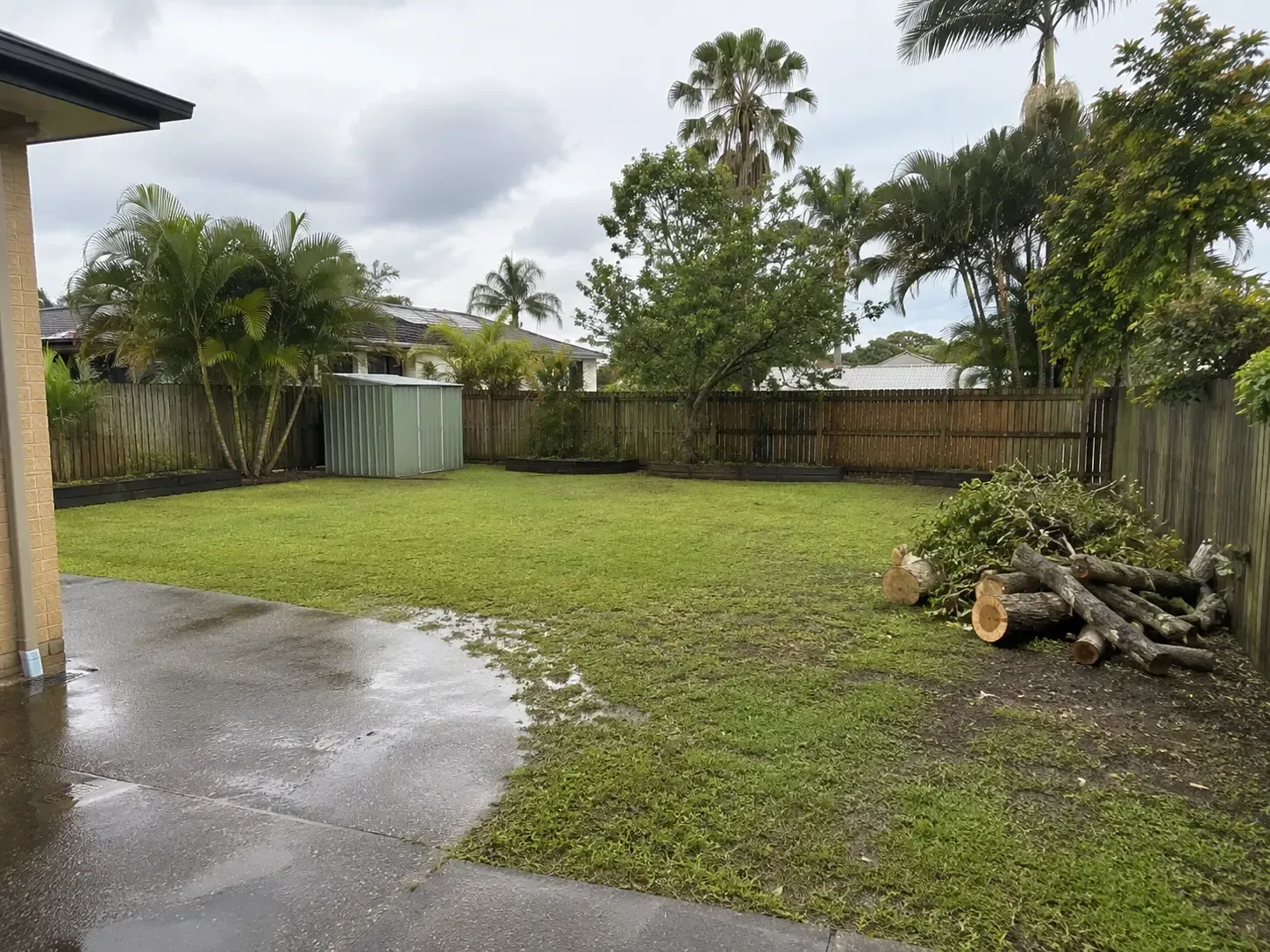 Felled tree, cut to size and oiled up neatly ready for disposal in a Mackay yard.