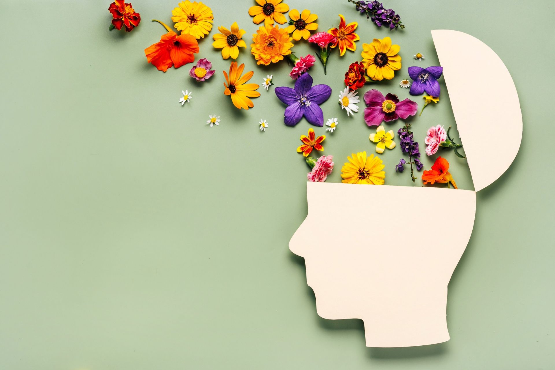 Silhouette head with an open top, flowers in various colors spilling out onto a green background.