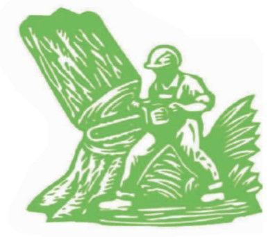 John Waldrop & Son Tree Service John Waldrop & Son Tree Service