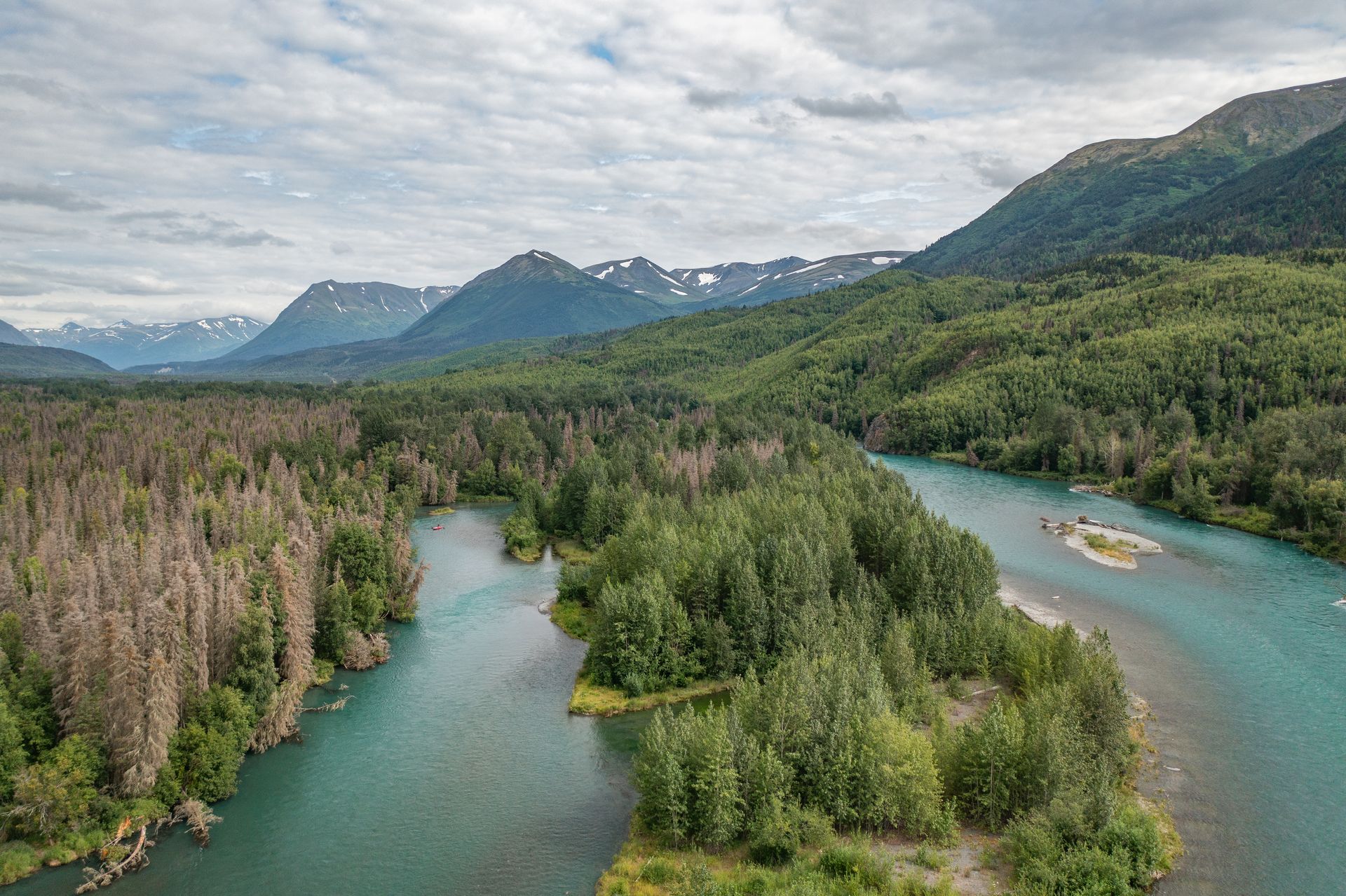 A turquoise river winds through a lush forest with dead trees in the foreground and snow-capped mountains in the distance.
