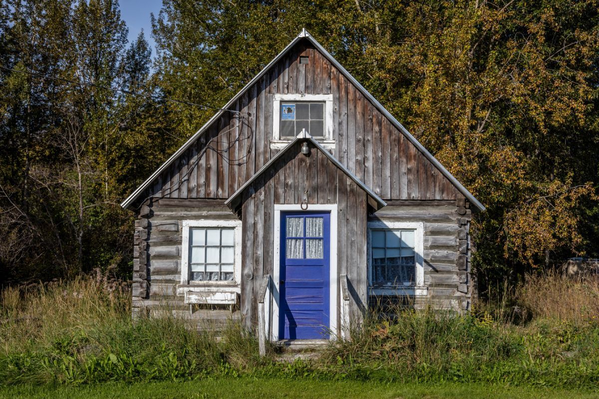 A small, weathered log cabin with a bright blue door sits in a field surrounded by trees.