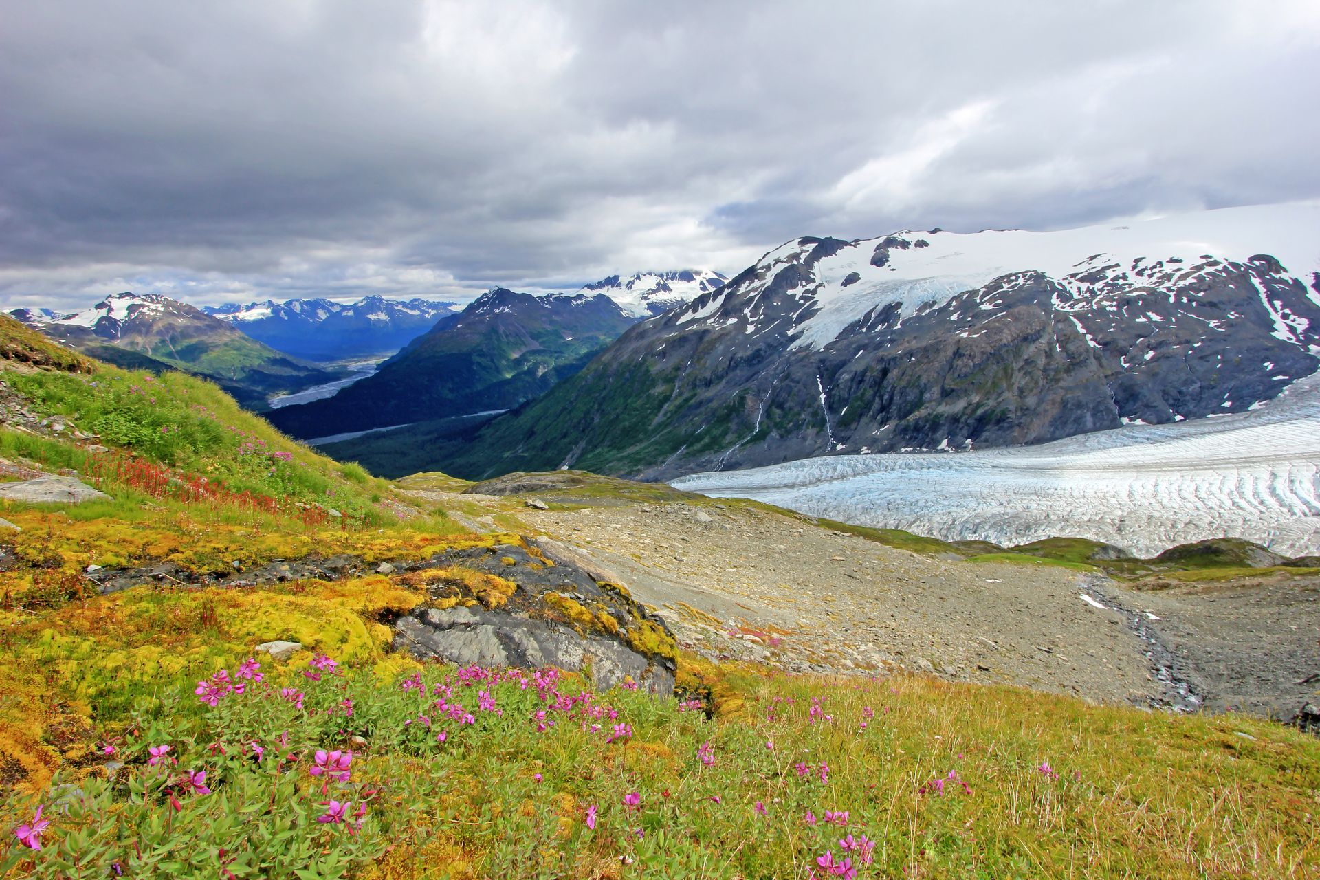 A glacier flows between rocky mountains under a cloudy sky, with vibrant wildflowers and green brush in the foreground.