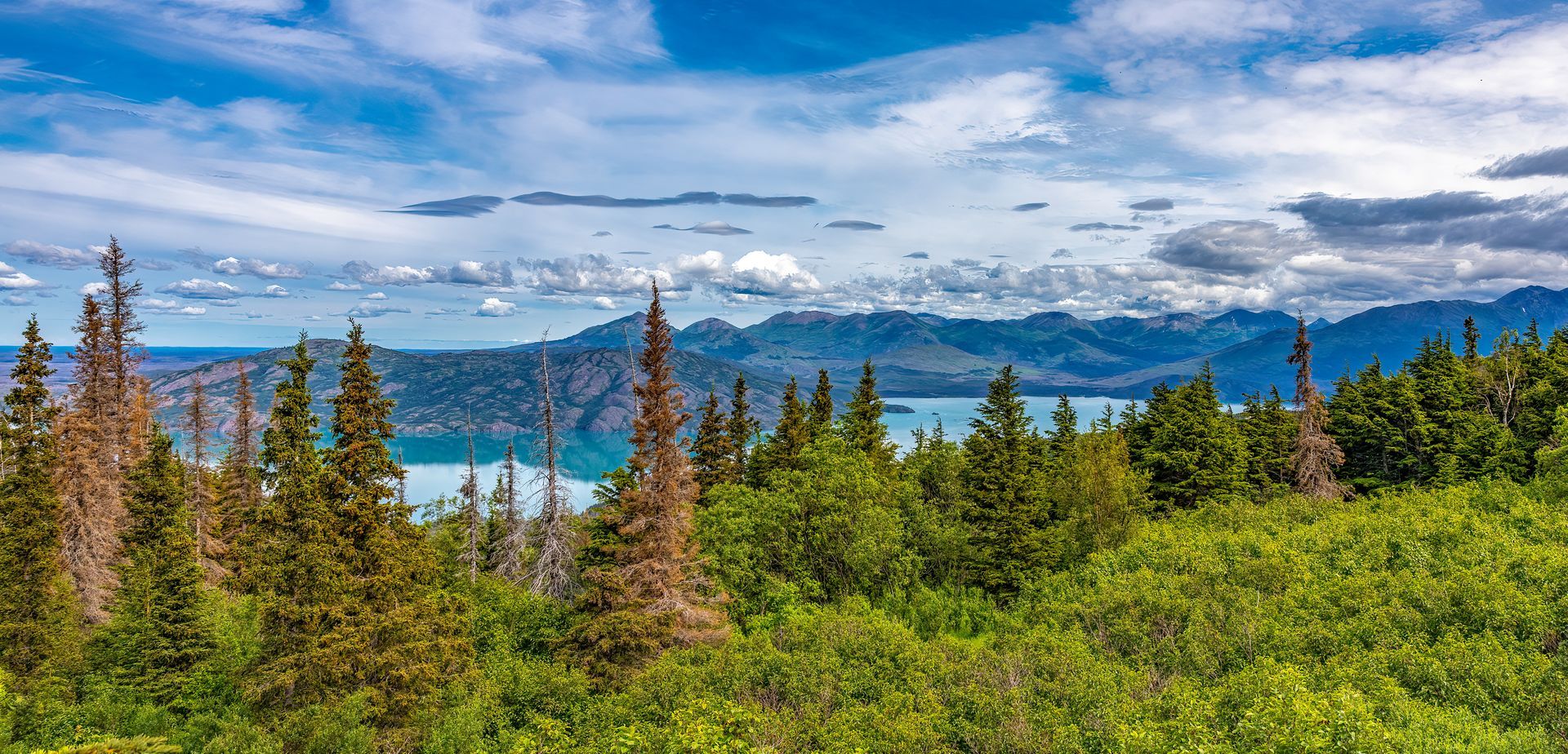 Scenic view of trees, lake, and mountains under a blue sky with fluffy white clouds.