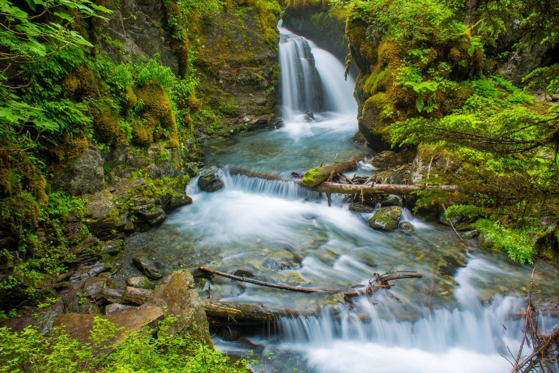 A scenic waterfall cascades into a lush green forest stream with mossy rocks and fallen logs.