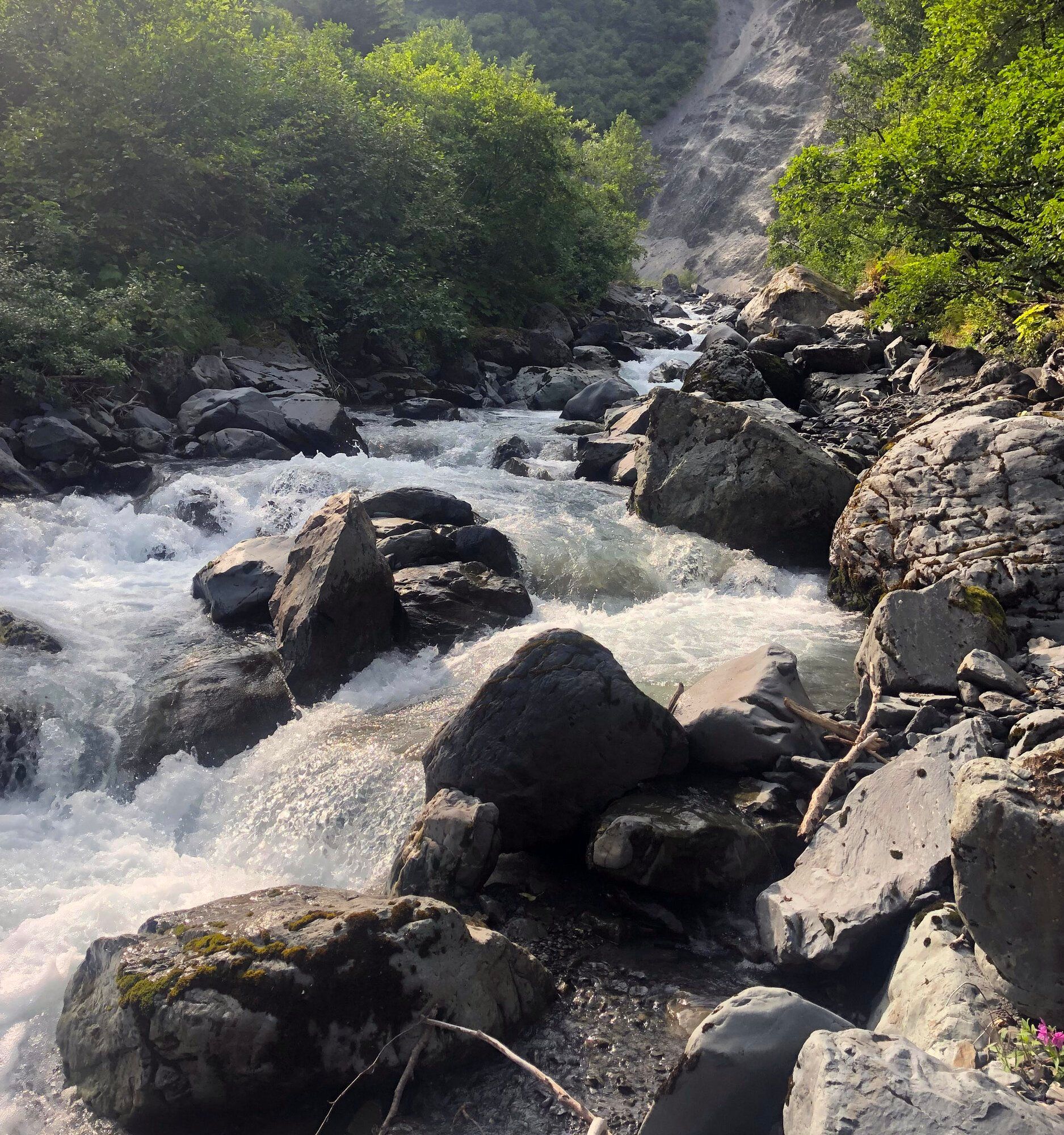 A rushing mountain stream flows over dark, jagged rocks, framed by lush green trees and a distant rocky slope.