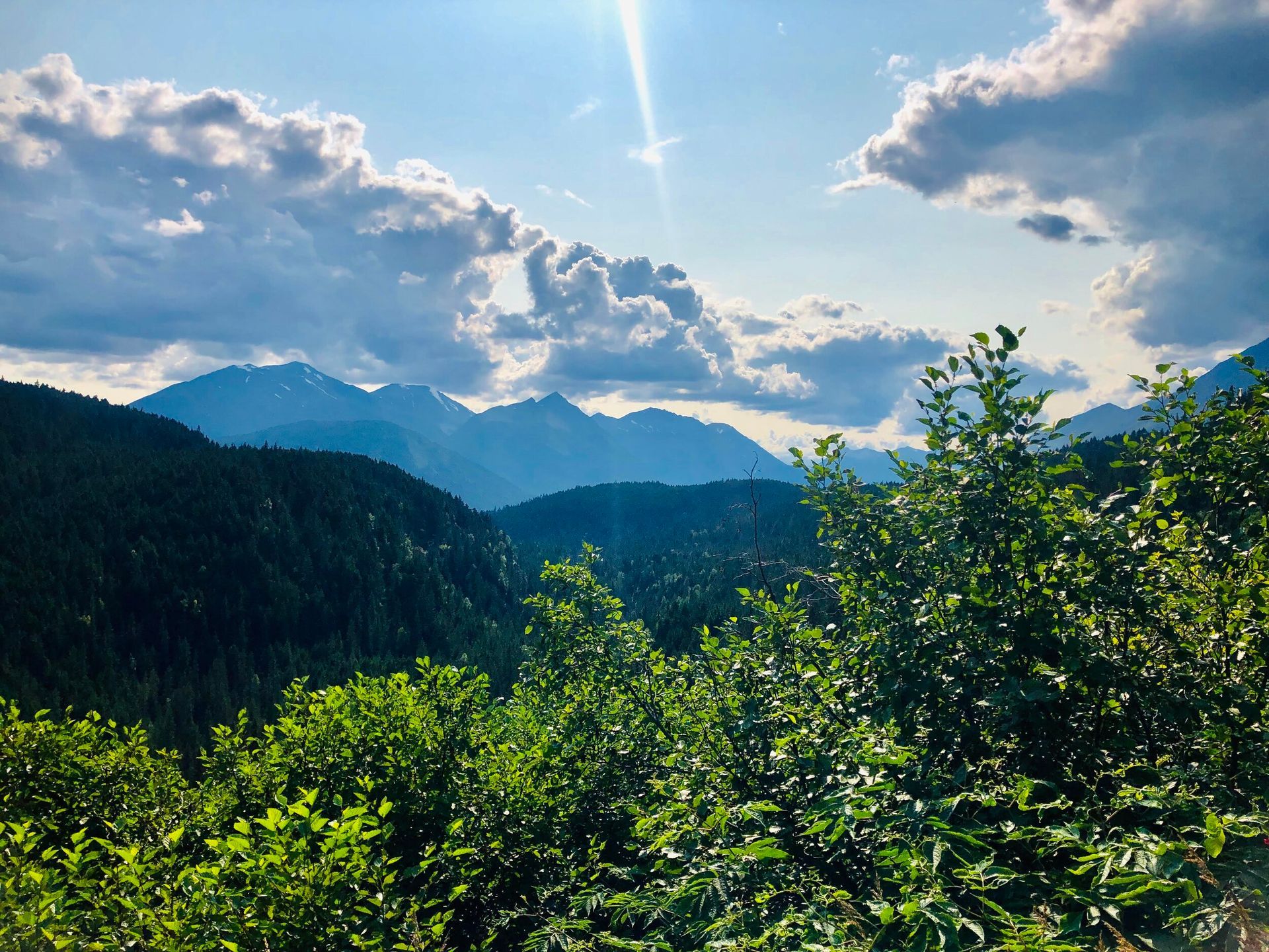Green trees in the foreground overlook a vast valley of dense forest and distant, rugged mountains under a sunny sky.