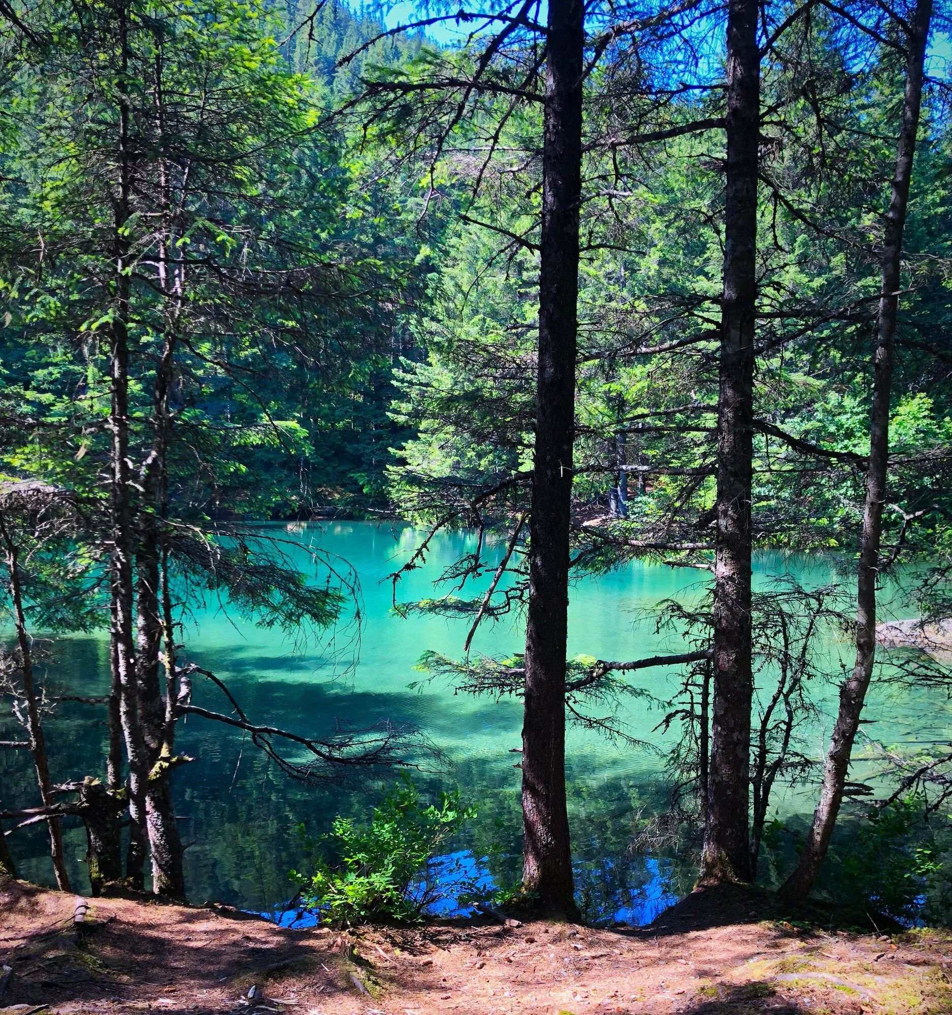 Turquoise water of a forest lake framed by dark, vertical pine trees on a sunny day.