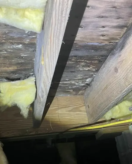 Insulation and wooden beams under a floor, showing crawlspace framing and yellow fiberglass batts.