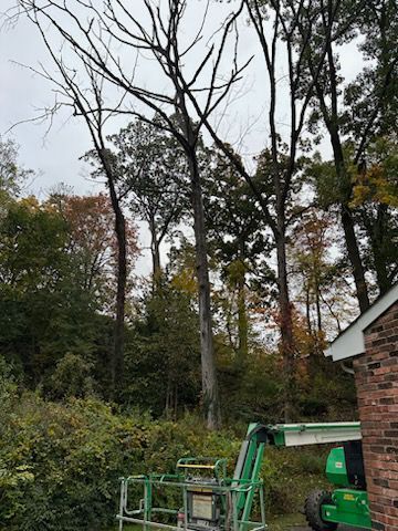 A green tractor is cutting down a tree in front of a house — Pittsburgh, PA — Leitzell Tree Service LLC
