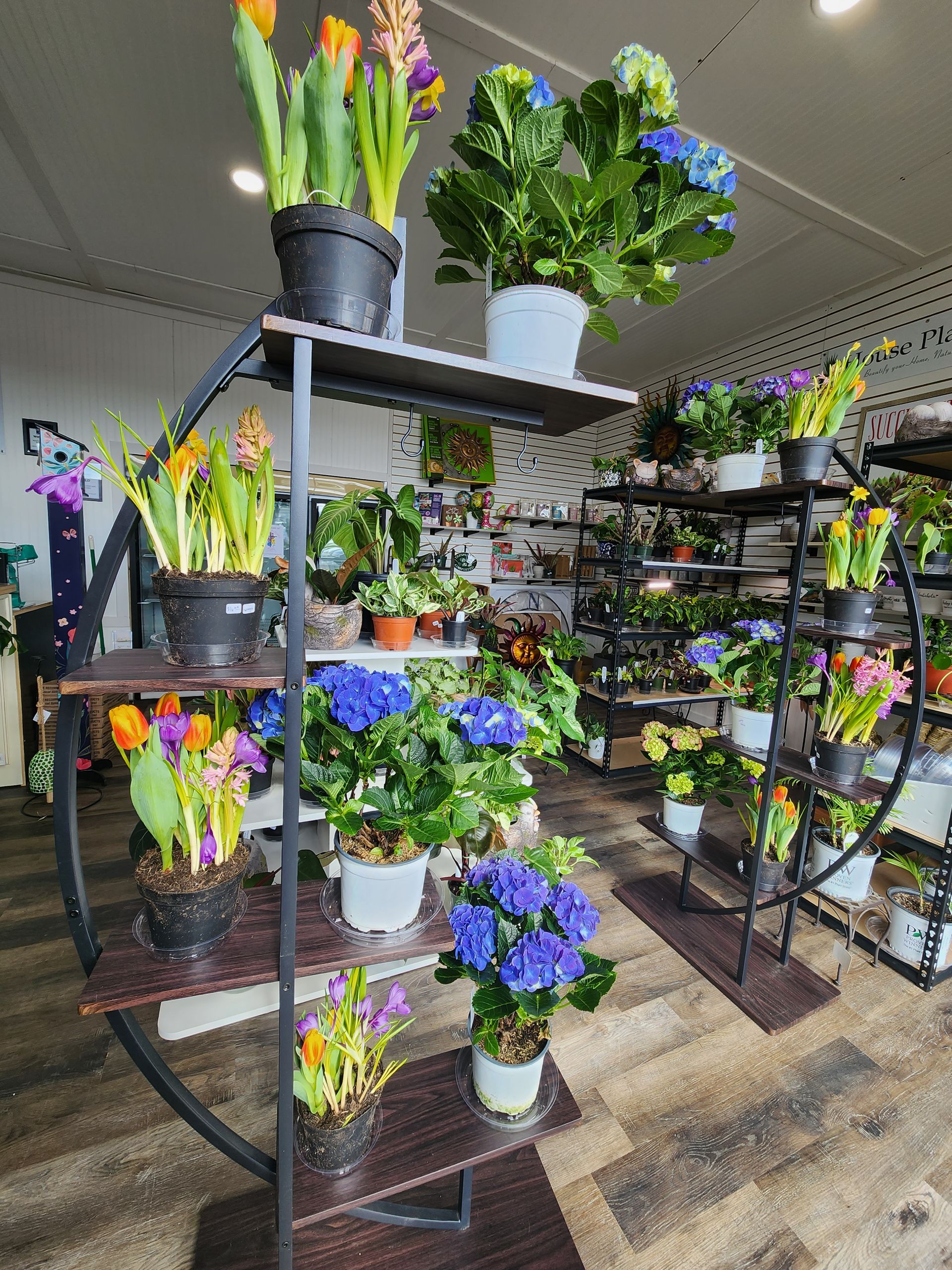 Nursery Snow's Landscape & Nursery Evansville & Newburgh, IN