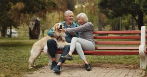 Two people on a red park bench pet a large dog in a leafy park Two people on a red park bench pet a large dog in a leafy park