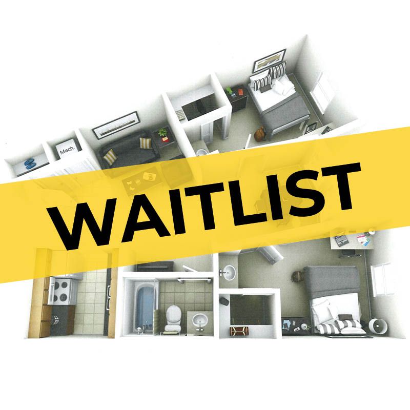 2 bedroom 1 bathroom apartment floor plant