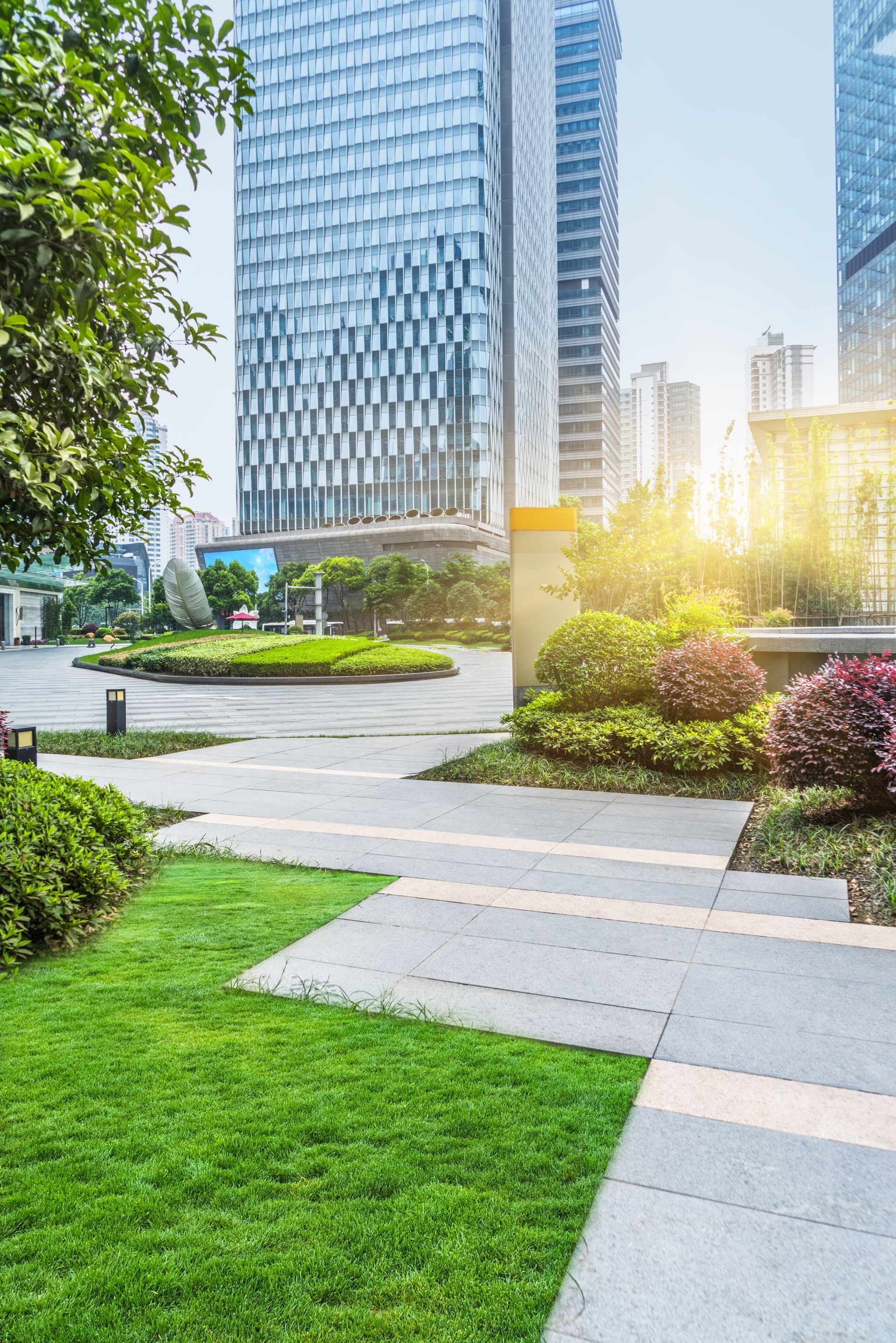 Professional Equipment and Skilled Landscaping Crews Professional Equipment and Skilled Landscaping Crews
