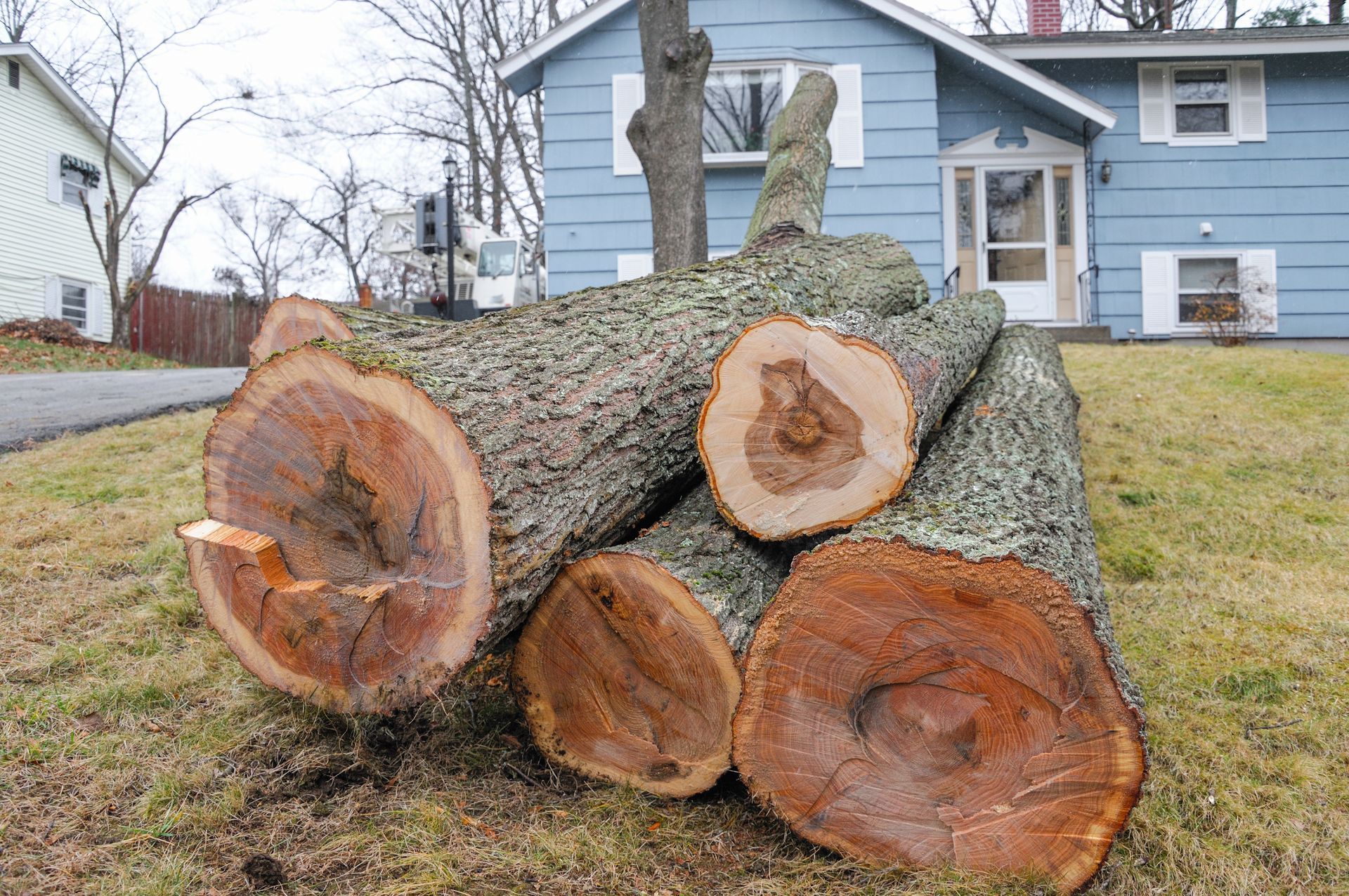Logs On Grass