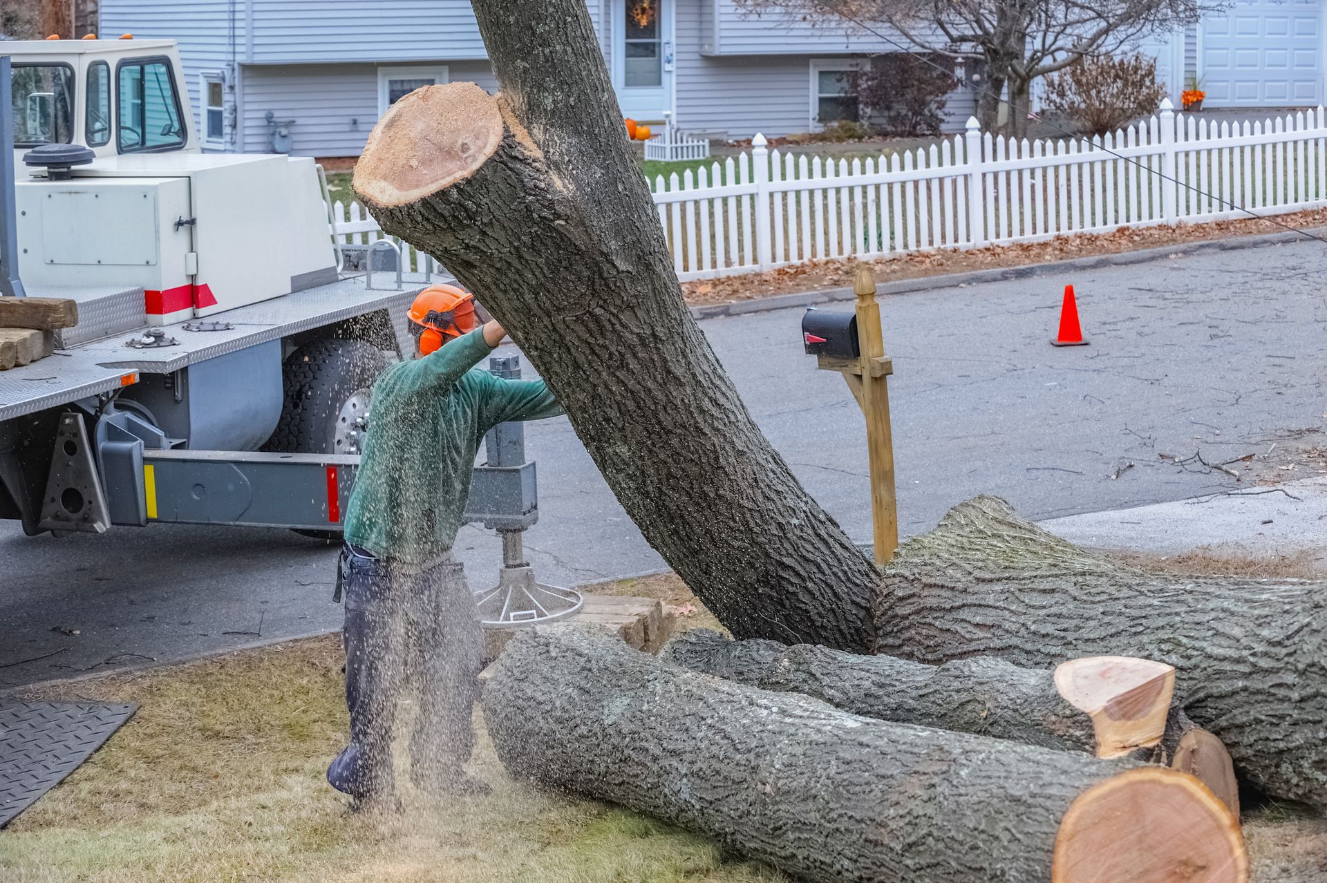Arborist cutting large tree trunk during tree removal service in residential neighborhood
