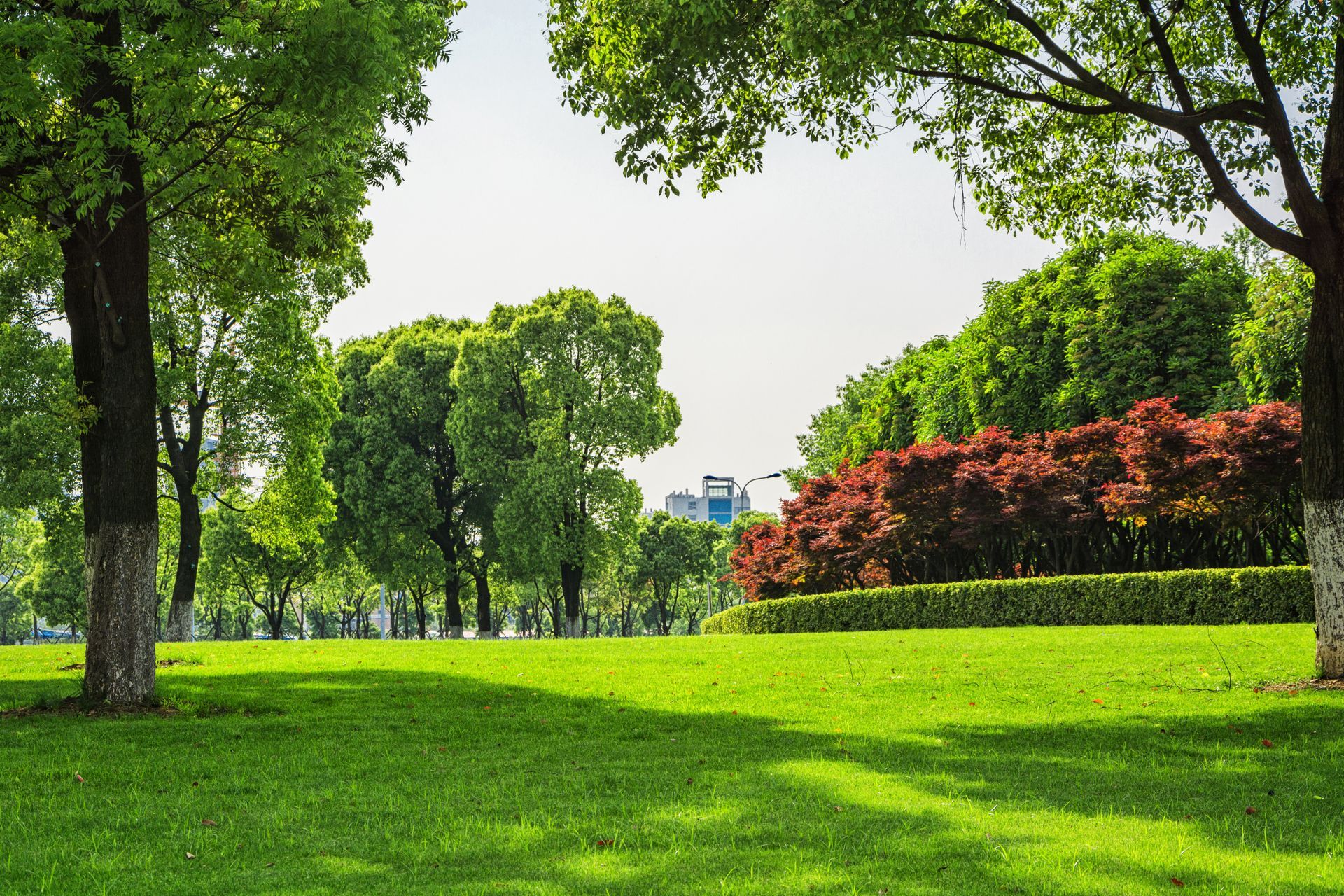 Green Park Landscape Green Park Landscape