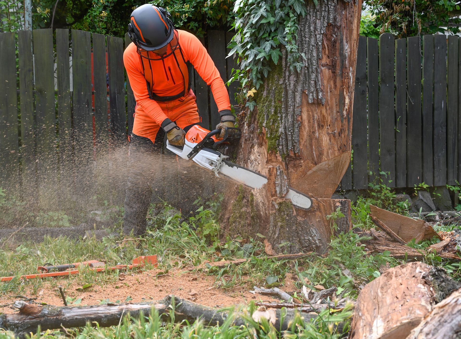 An arborist in orange safety gear uses a chainsaw to remove a tree in the backyard.