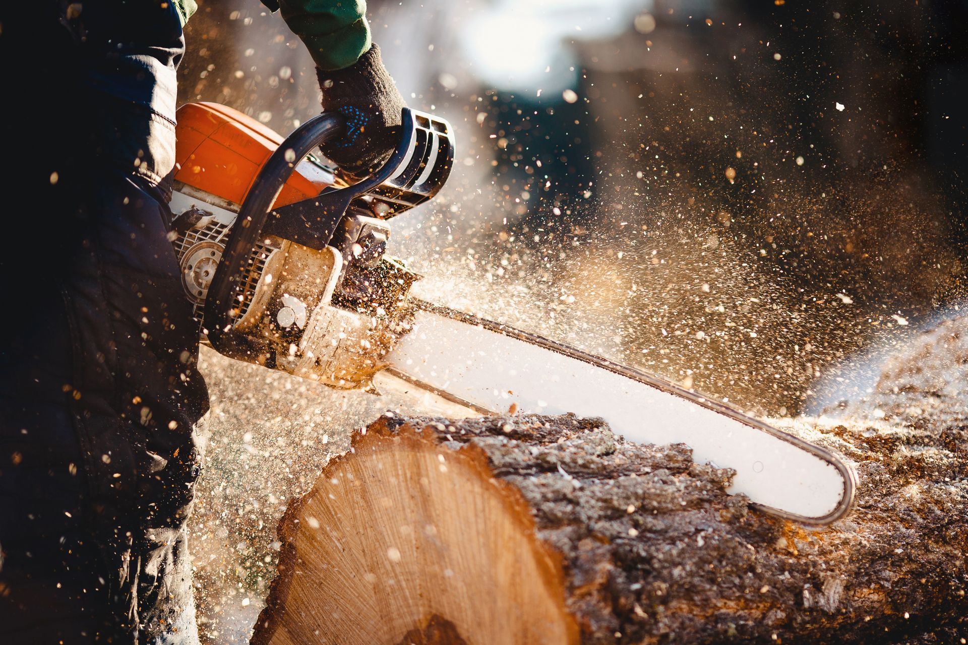 Cutting Log
