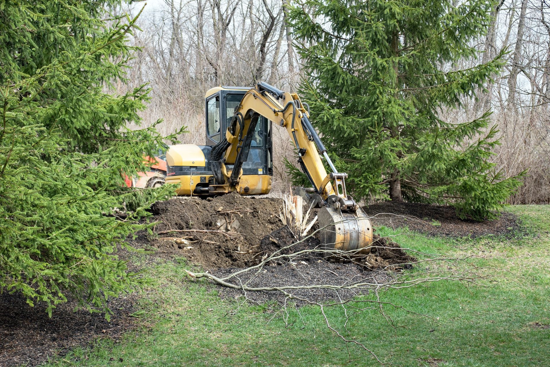 Yellow excavator digging a hole in a grassy area, trees in the background.