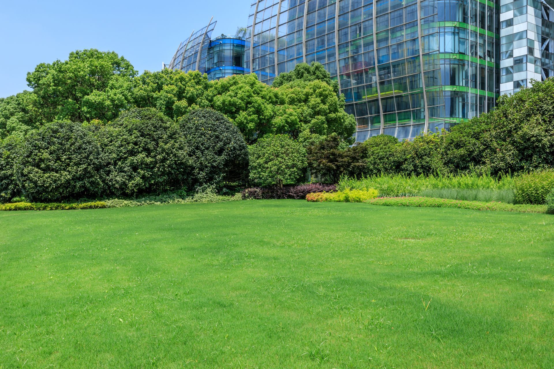 Lawn With Trees Lawn With Trees