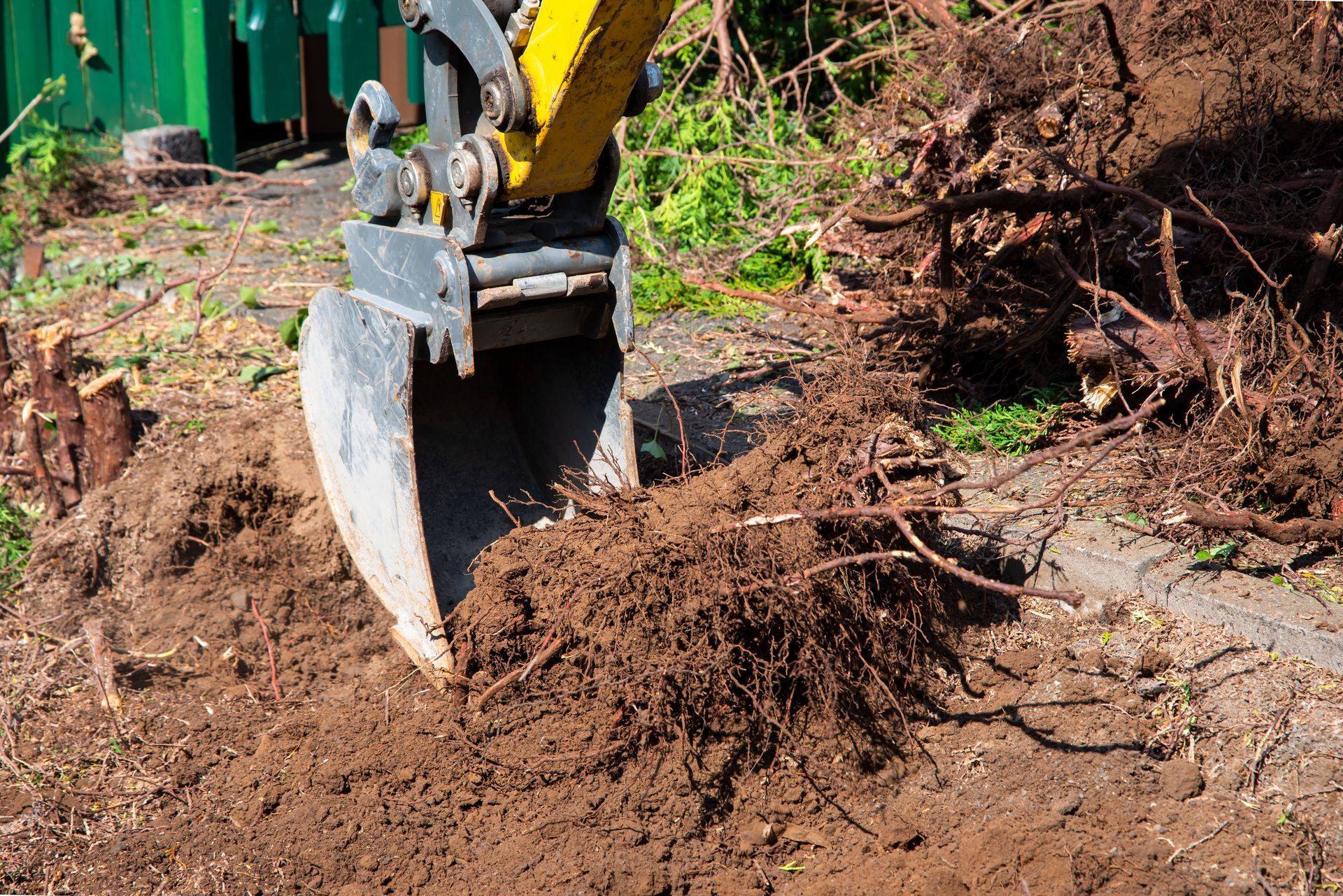 Excavator Removing Roots Excavator Removing Roots