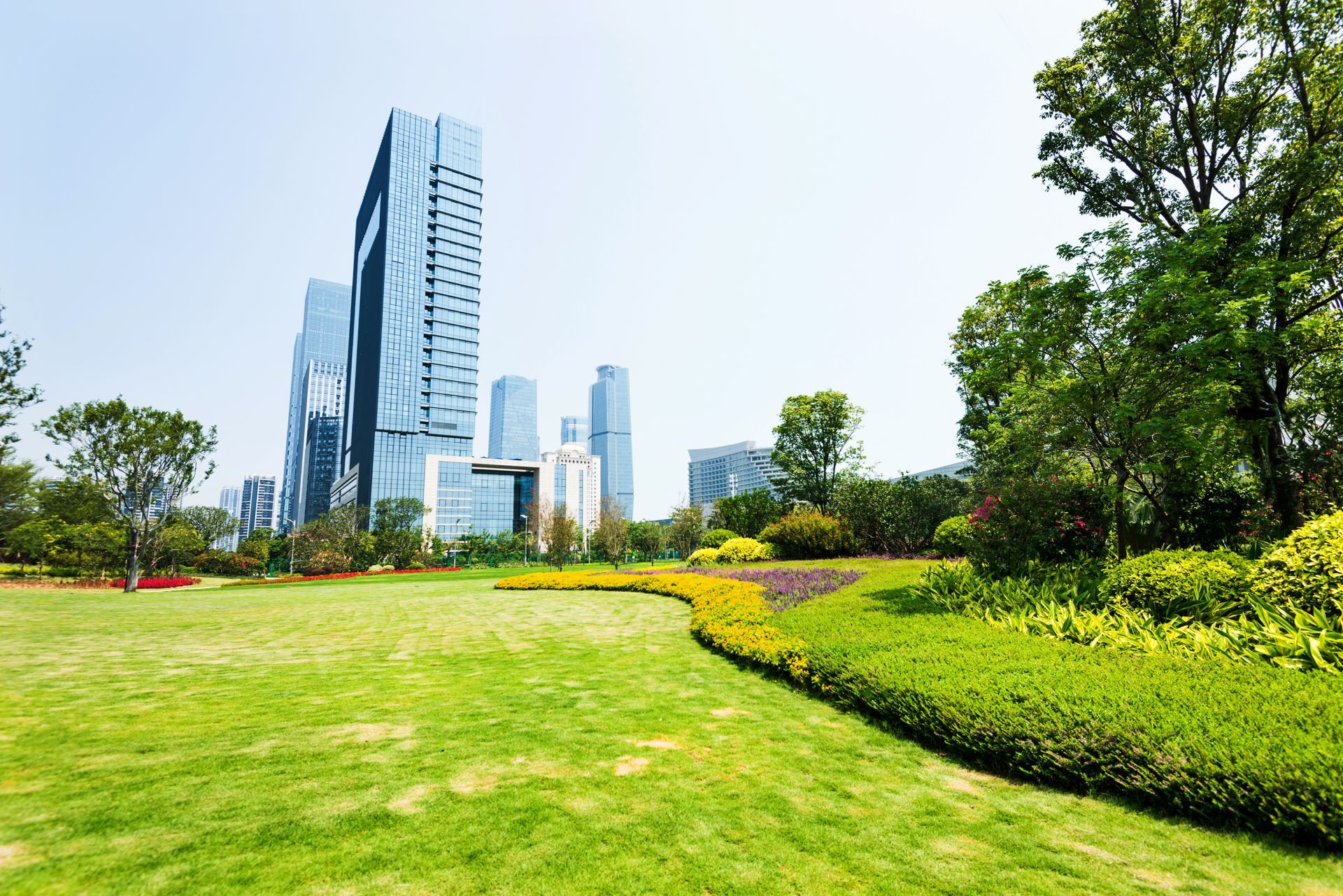 Park With Skyscrapers Park With Skyscrapers