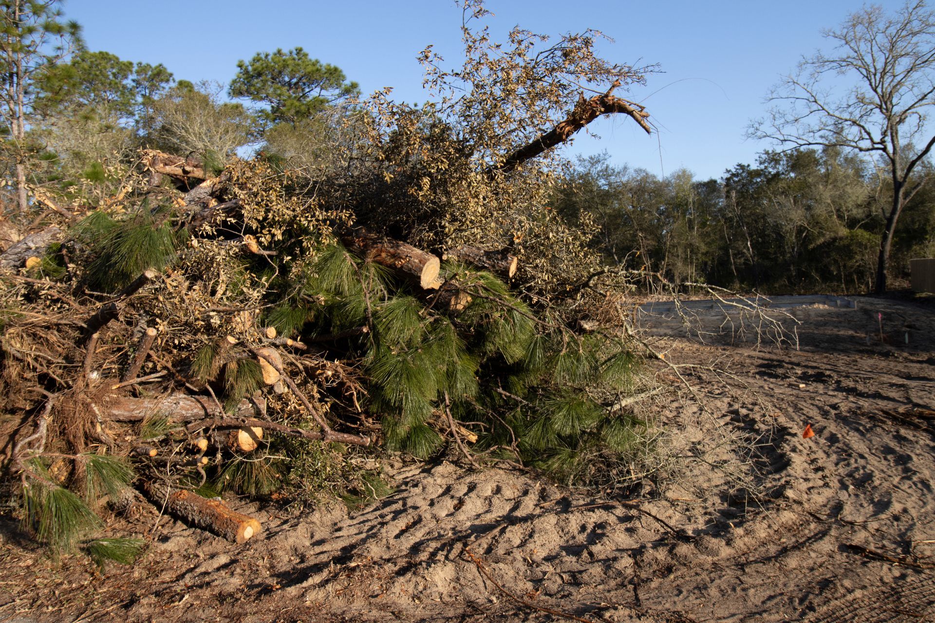 Dependable Lot Clearing From Start to Finish Dependable Lot Clearing From Start to Finish