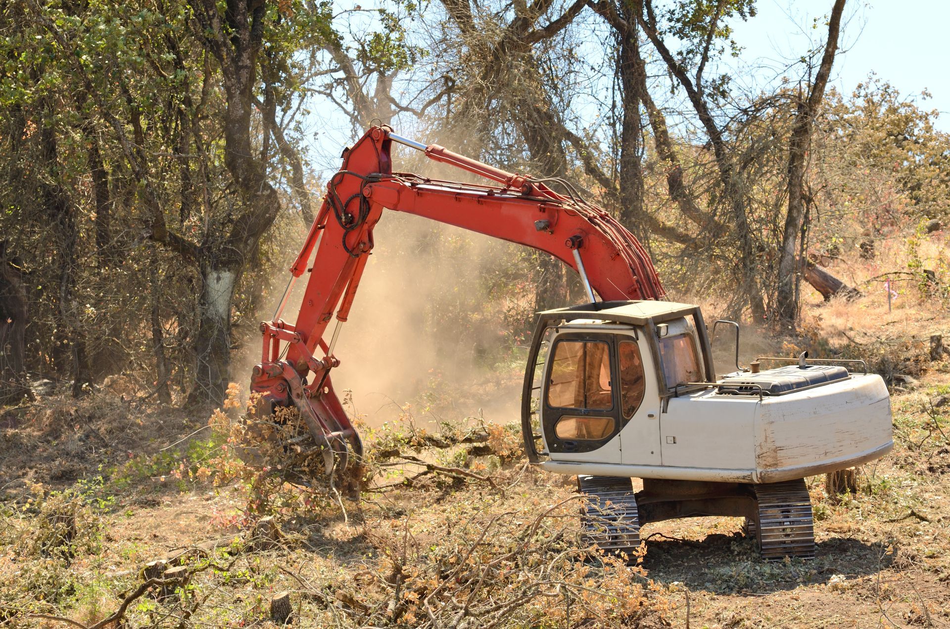Excavator Clearing Land