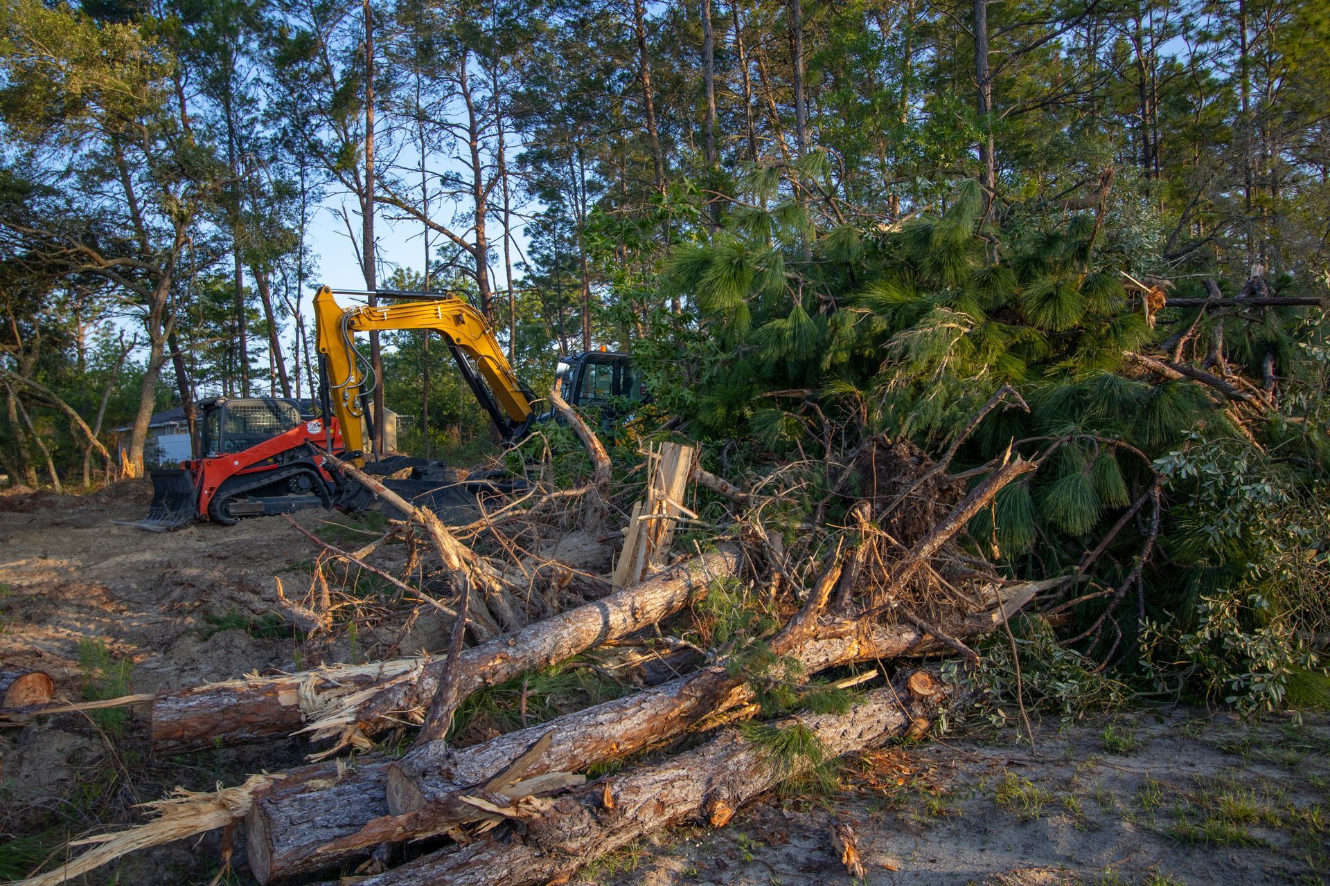 Excavator Clearing Trees Excavator Clearing Trees