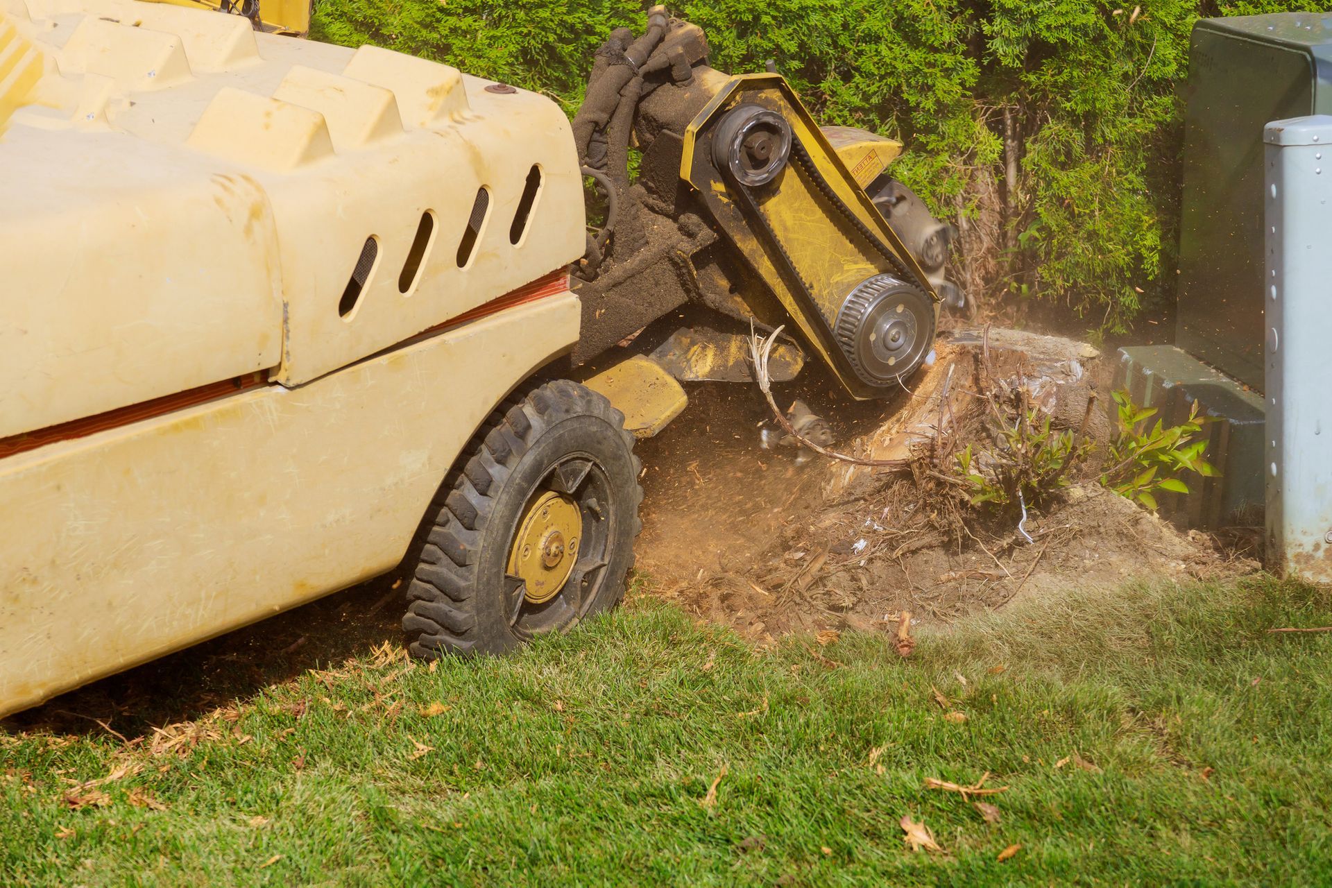 Stump Grinder Clearing