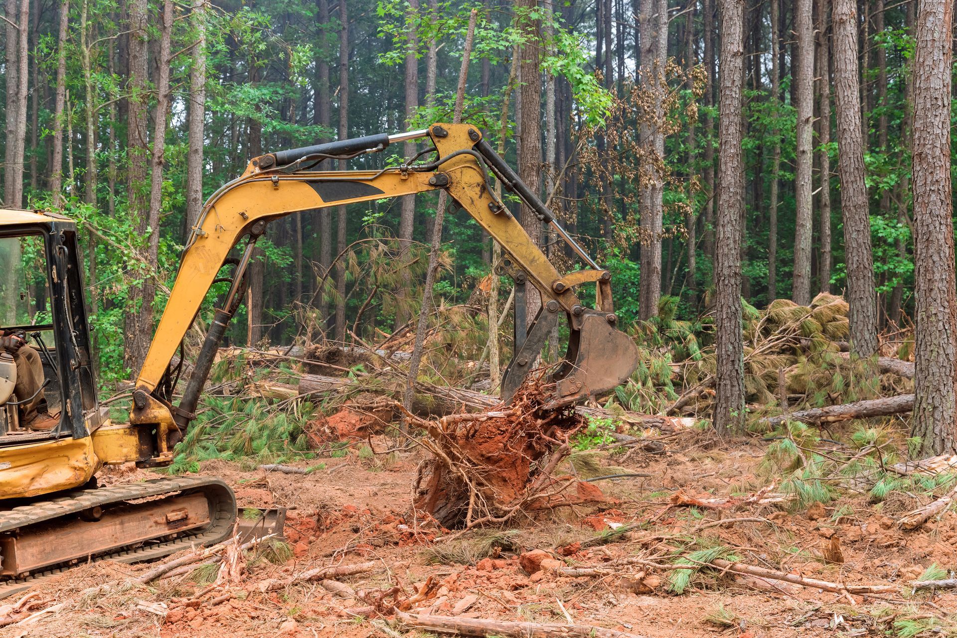 Excavator Clearing Trees