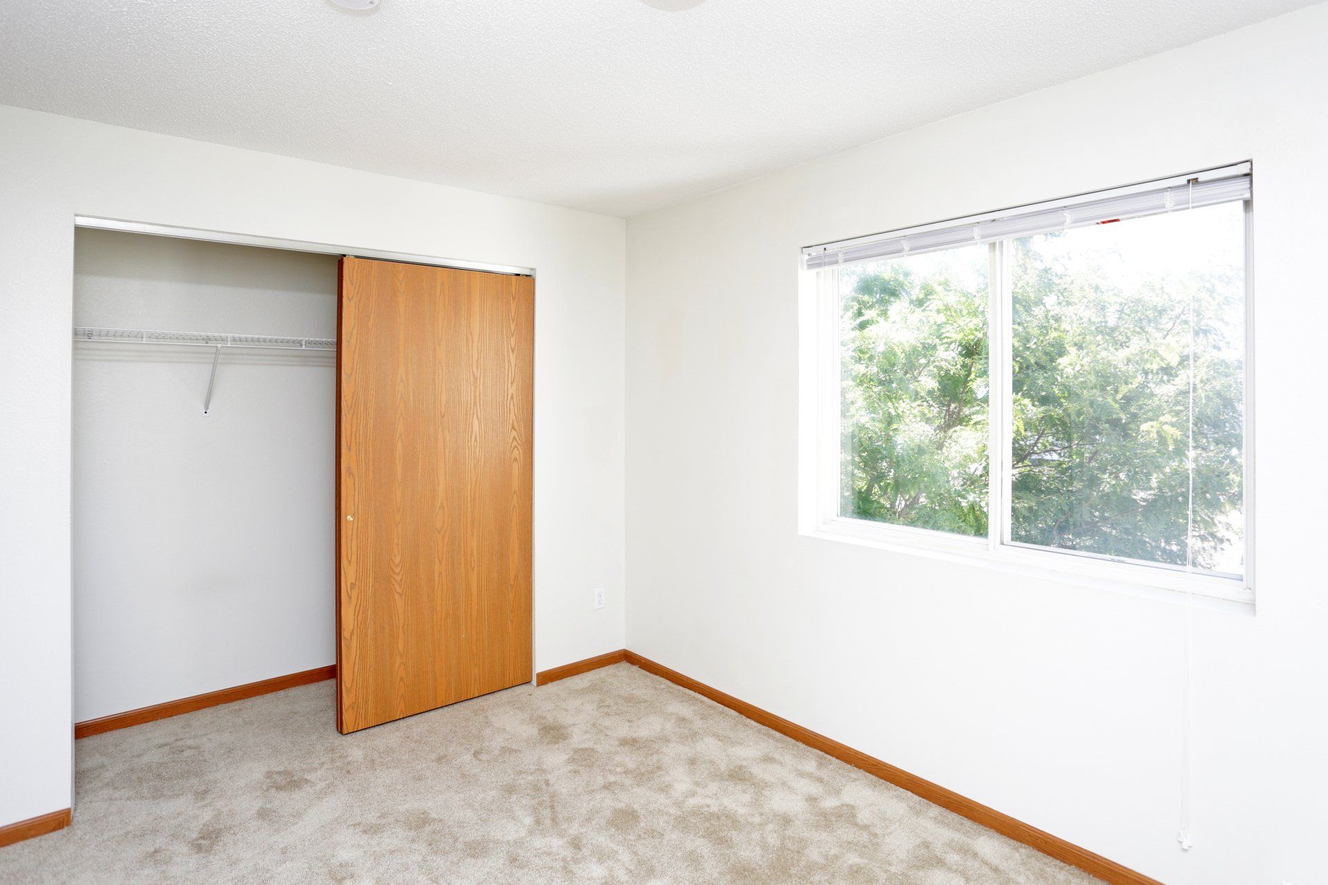 Bedroom with sliding closet and window