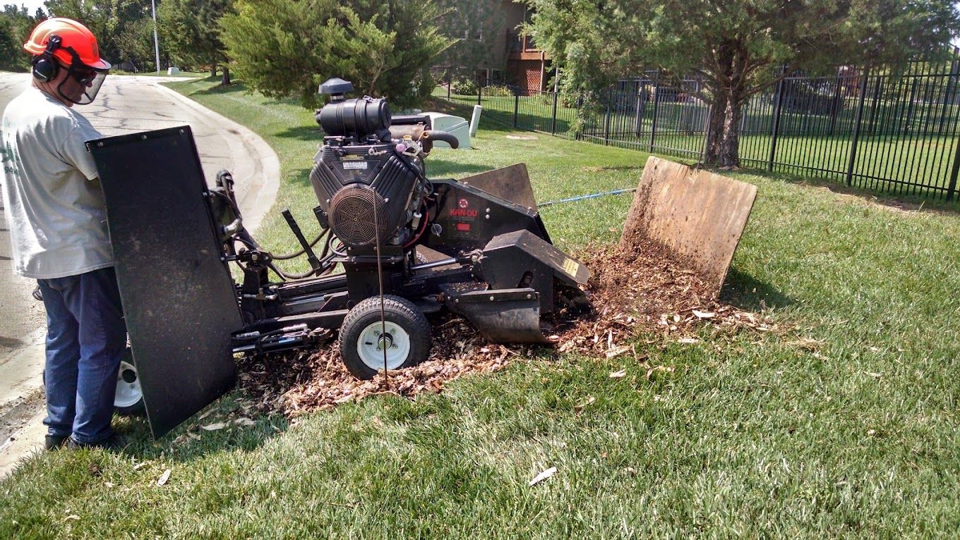 Stump Grinding Wichita Area 3169459429