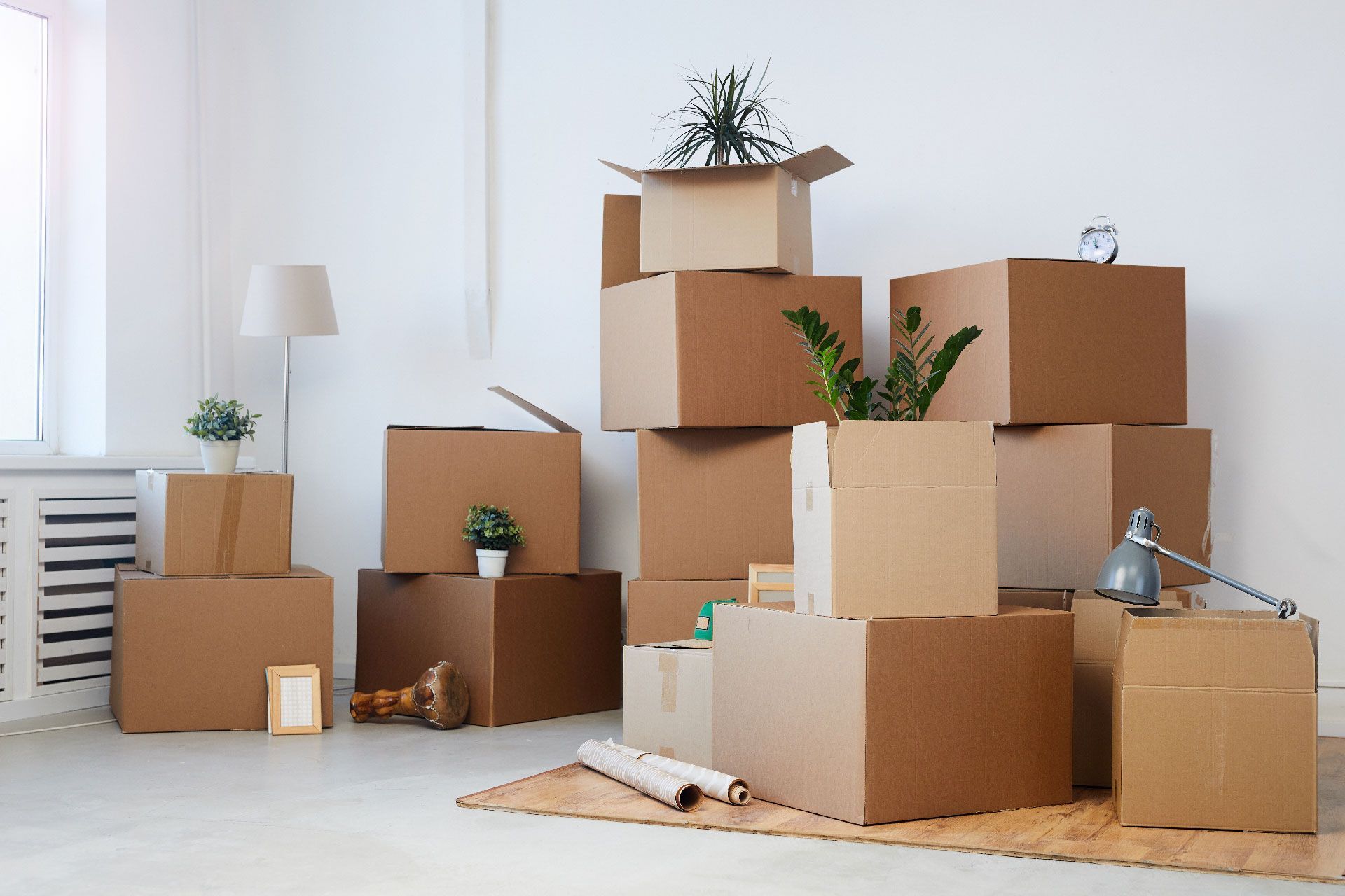 Cajas de cartón apiladas en una habitación luminosa, algunas abiertas con plantas dentro, lo que indica una mudanza.