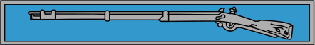 Expert infantry badge