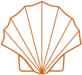 Orange line-art seashell icon outlined on a white background