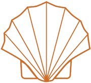 Orange line-art seashell icon outlined on a white background