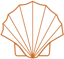 Orange line-art seashell icon outlined on a white background
