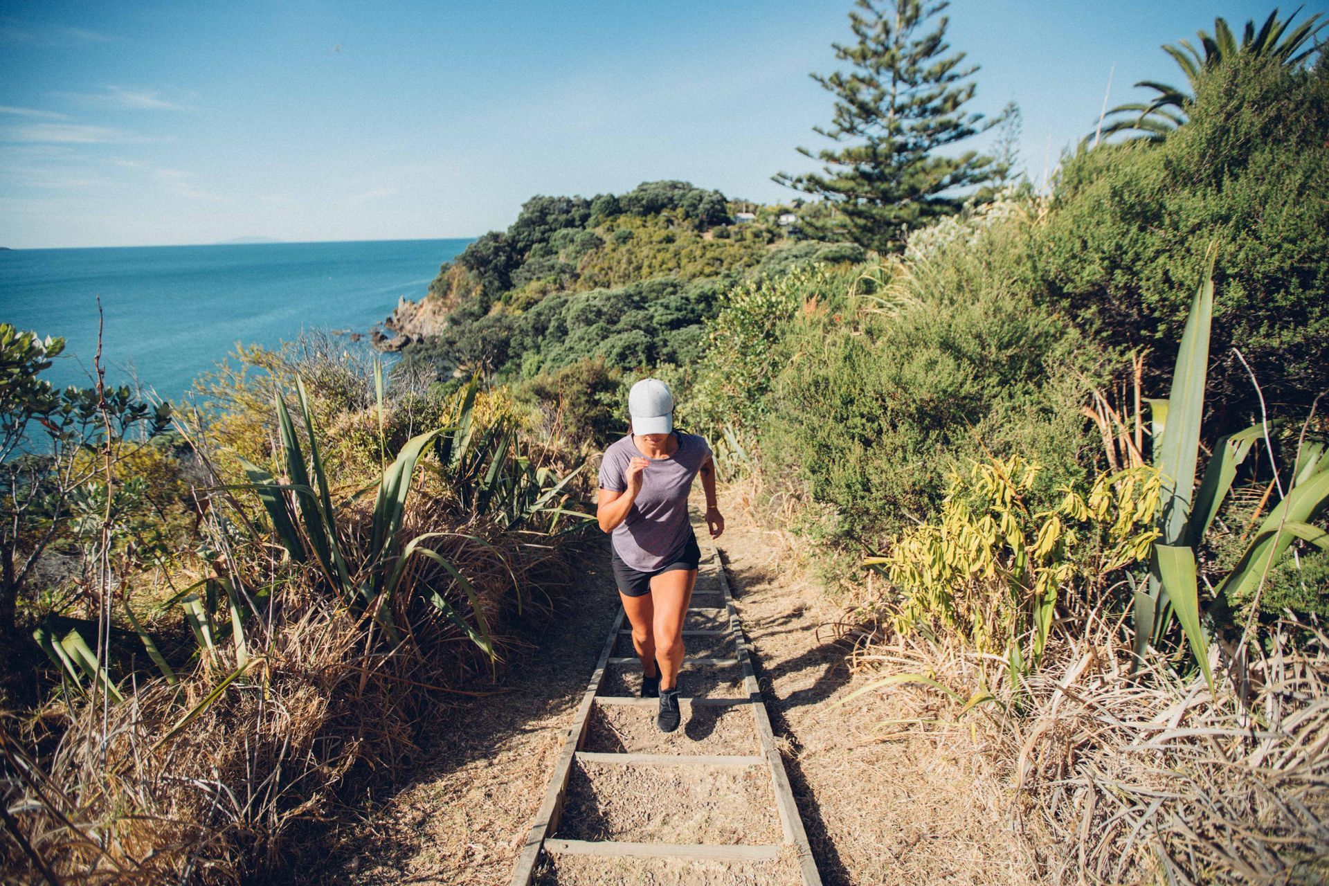 Walking tracks above Oneroa, Waiheke Island