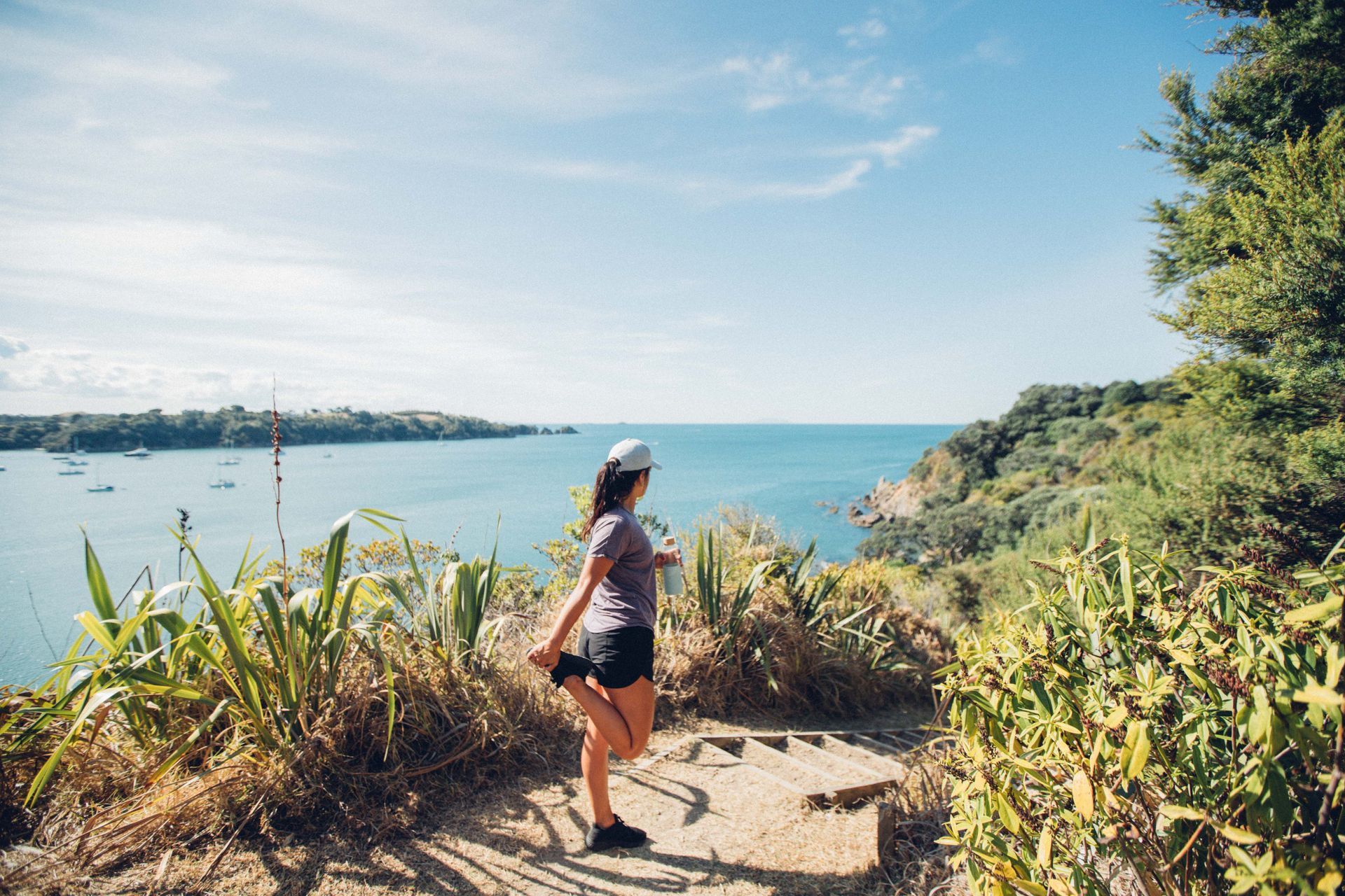 Bush and headland walking trail on Waiheke Island