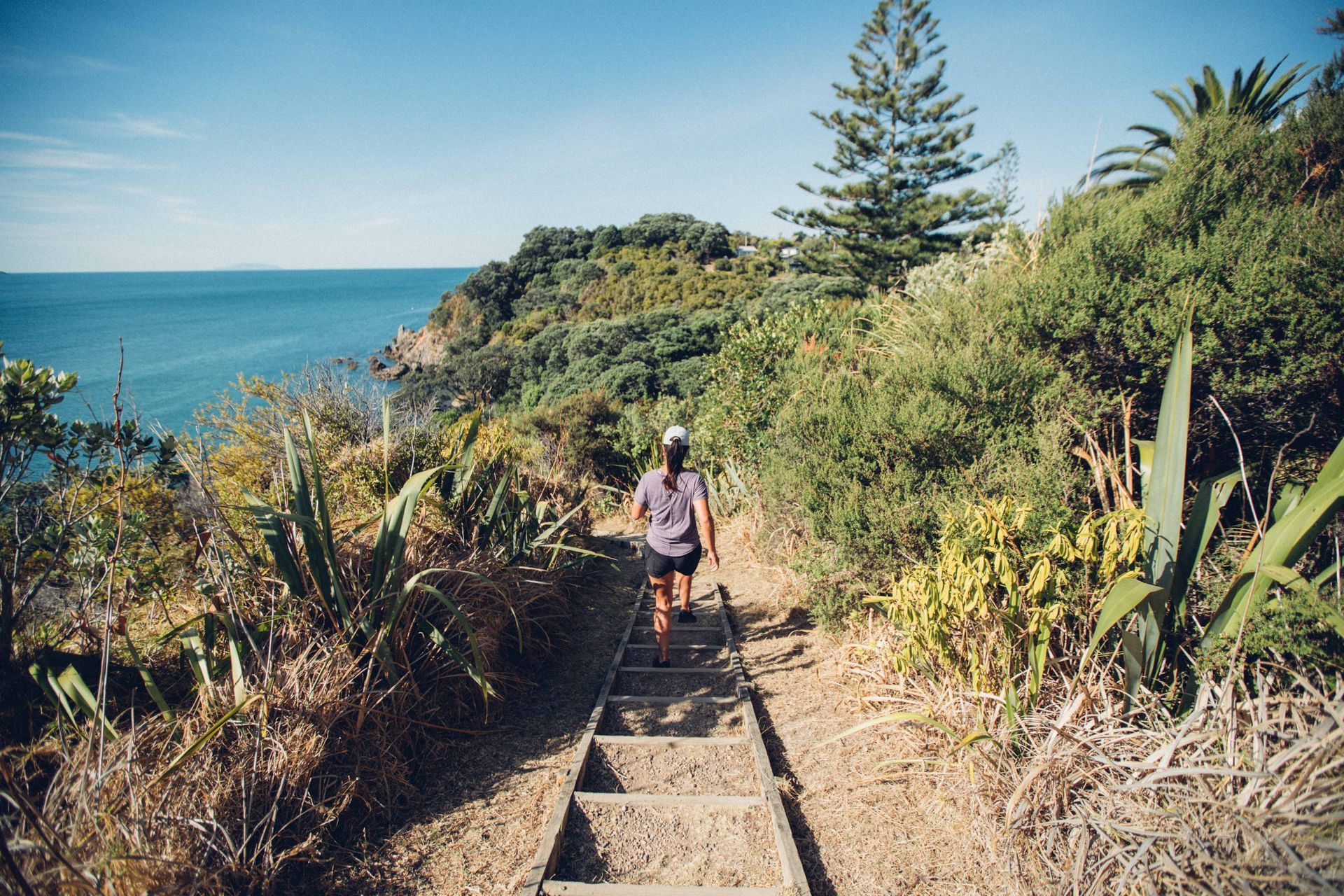 A walking trail on Waiheke Island
