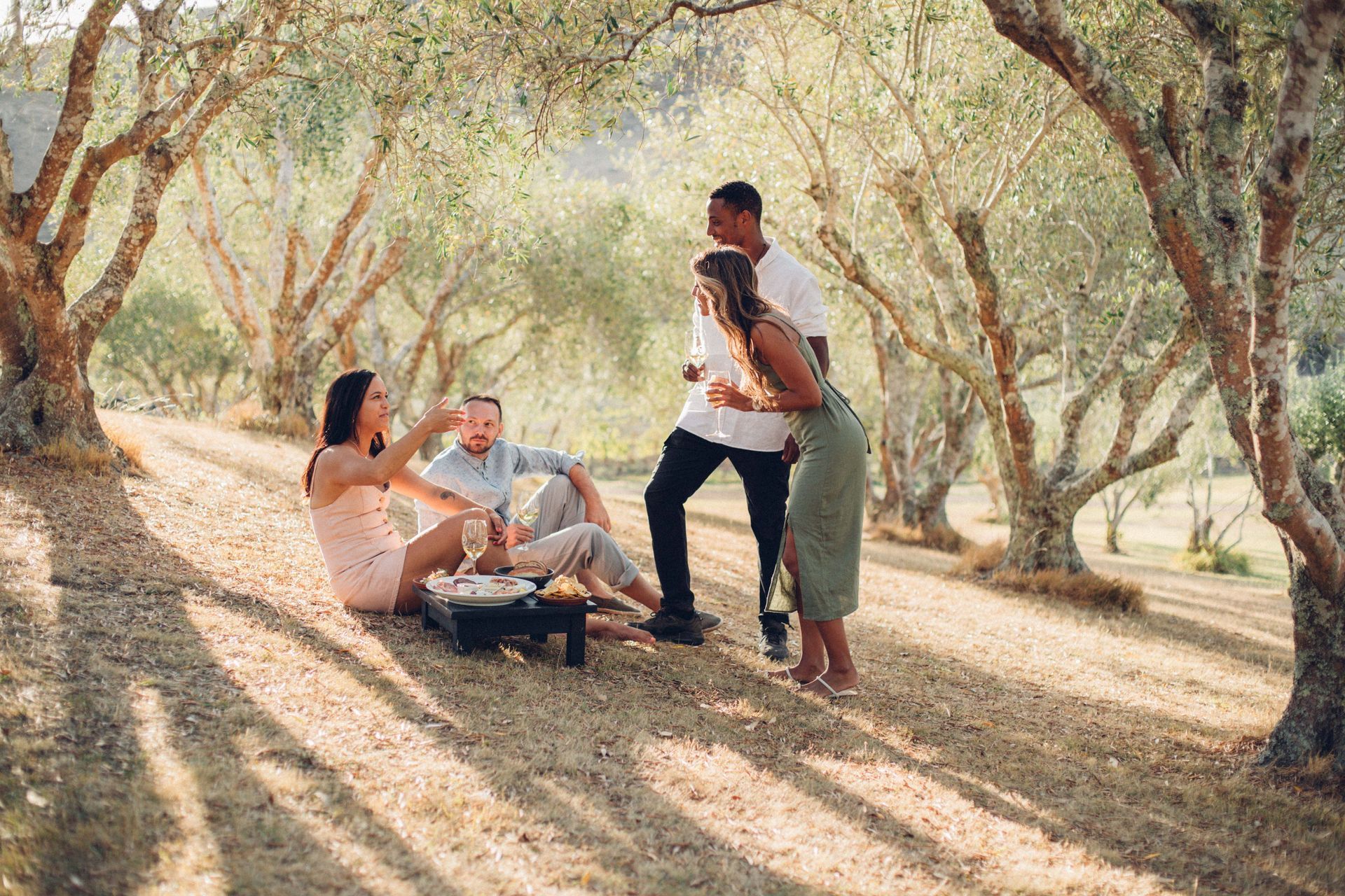 Four friends picnicking outdoors under olive trees, enjoying food and wine on Waiheke Island